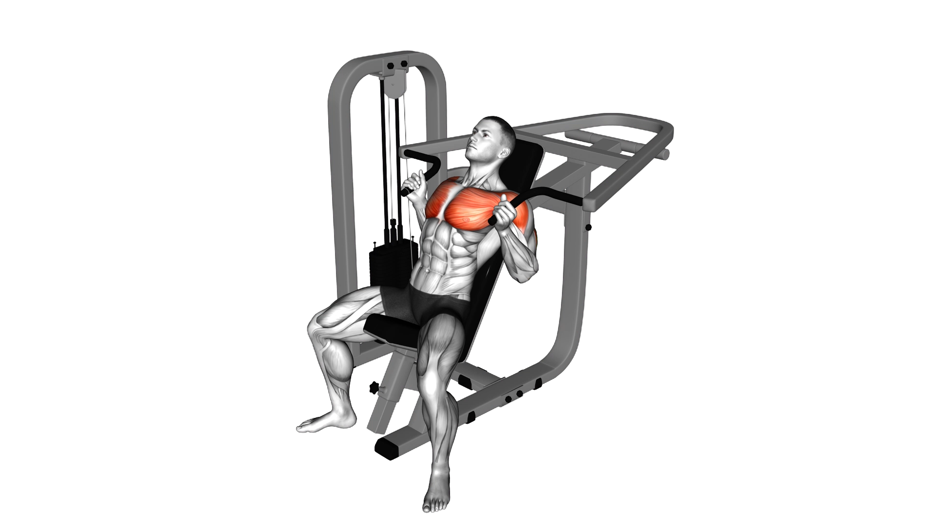 Lever Incline Hammer Chest Press exercise demonstration