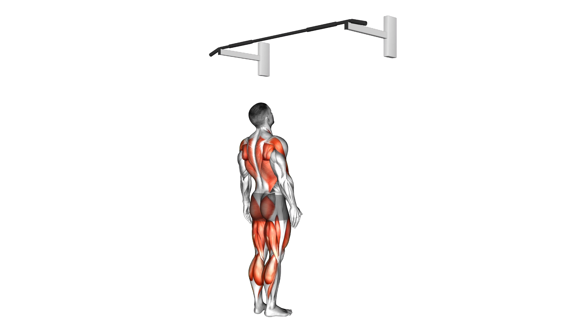 Jumping Pull up exercise demonstration