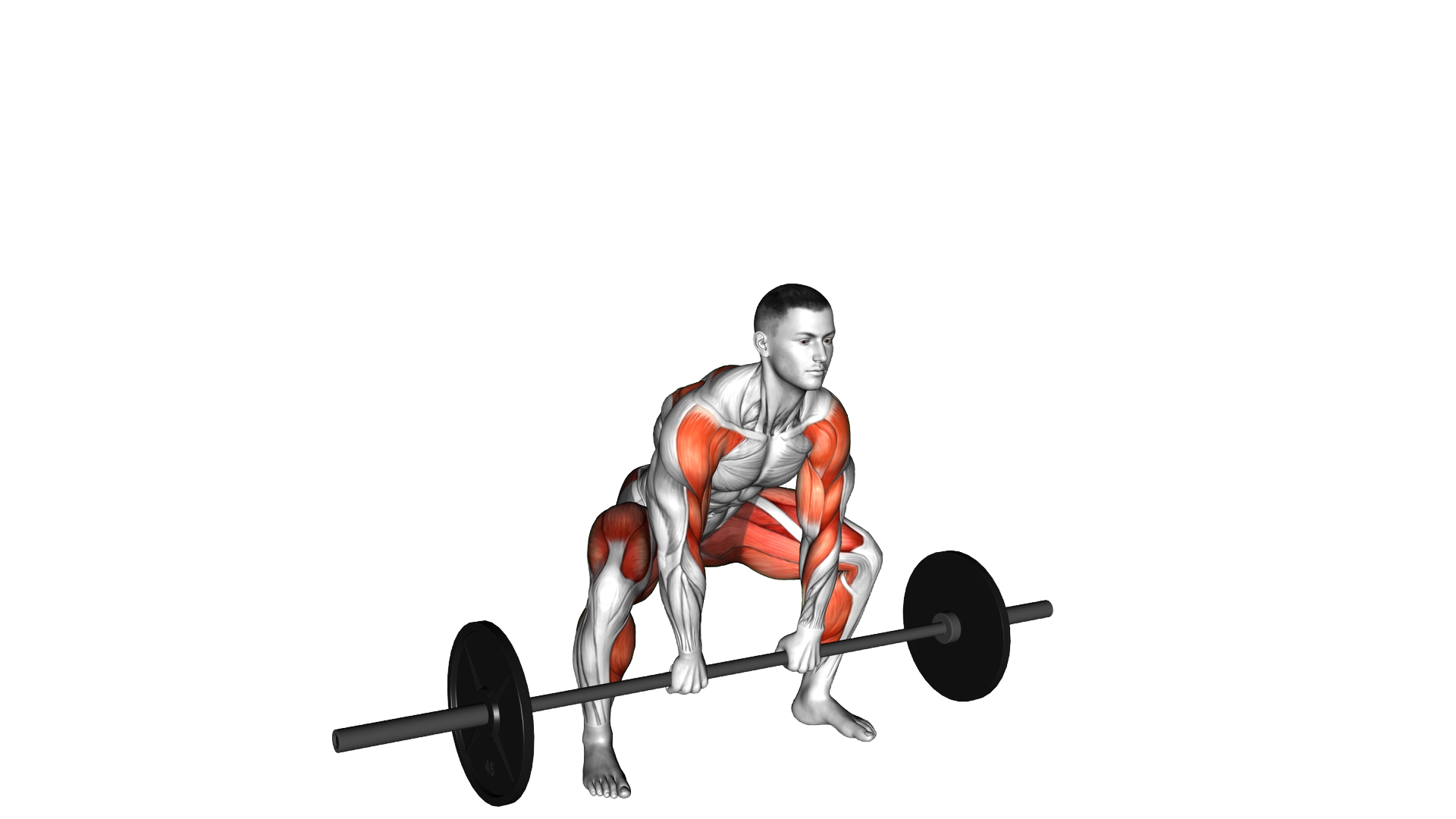 Sumo Deadlift High Pull exercise demonstration