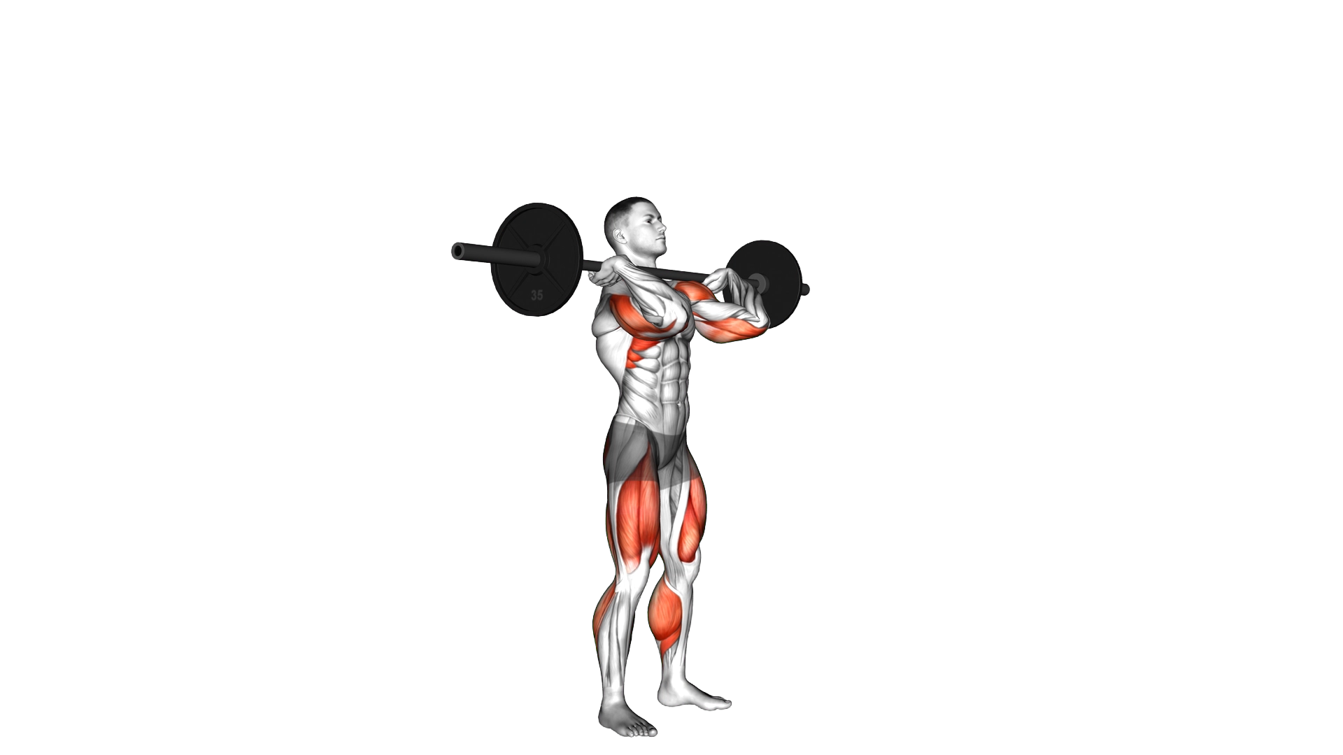 Push Press exercise demonstration