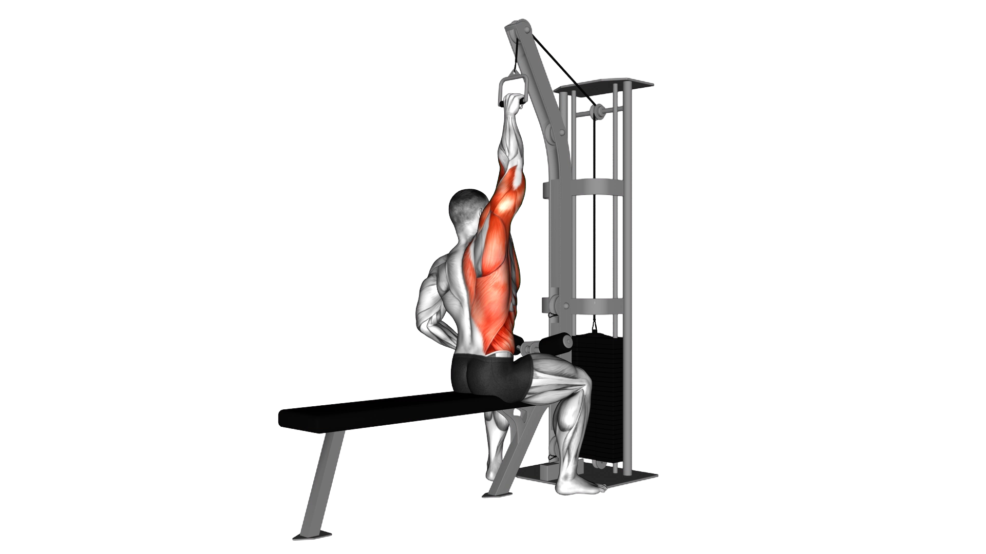 Cable one arm lat pulldown exercise demonstration