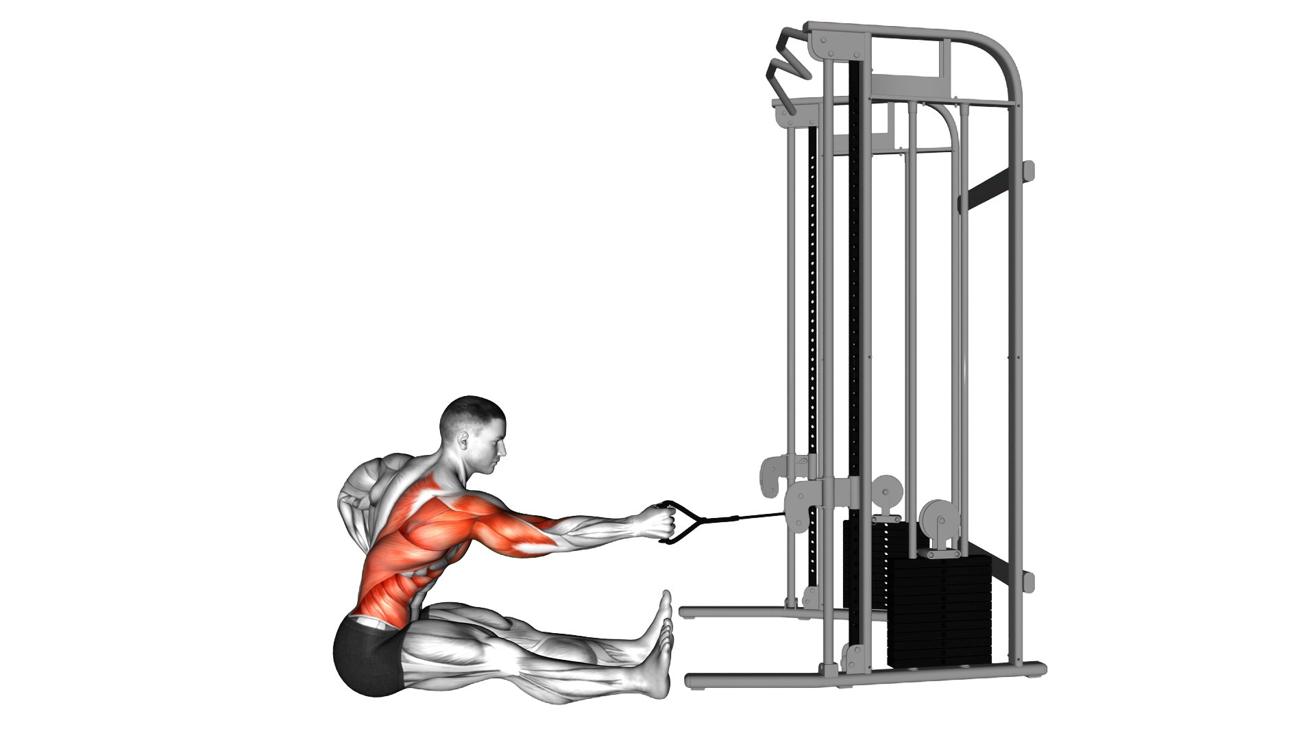 Cable one arm twisting seated row exercise demonstration