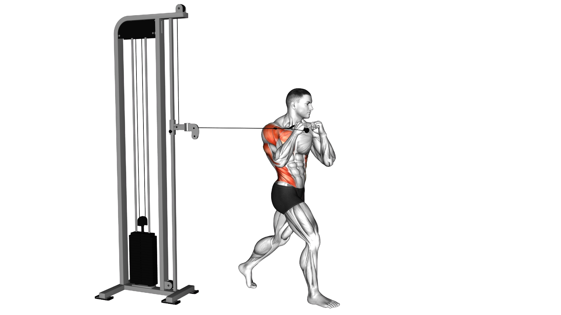 Cable Twisting Standing One Arm Chest Press exercise demonstration