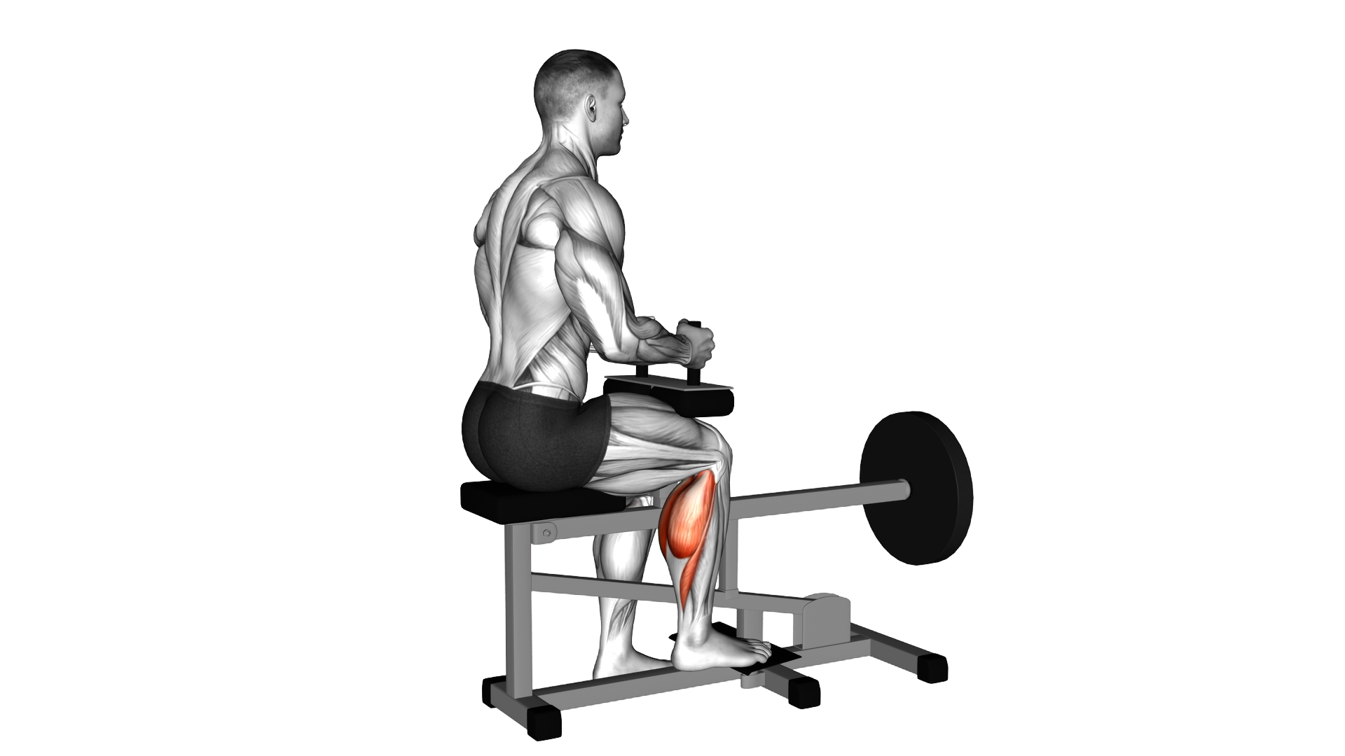 Lever Seated One Leg Calf Raise exercise demonstration