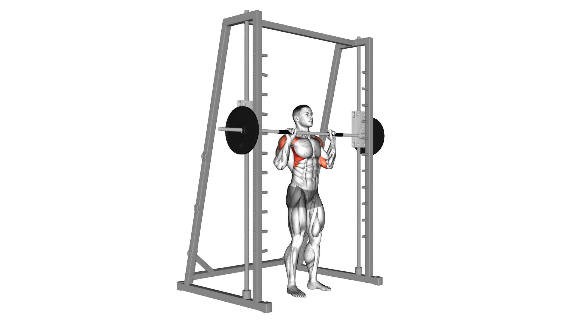 Smith Standing Shoulder Press exercise thumbnail