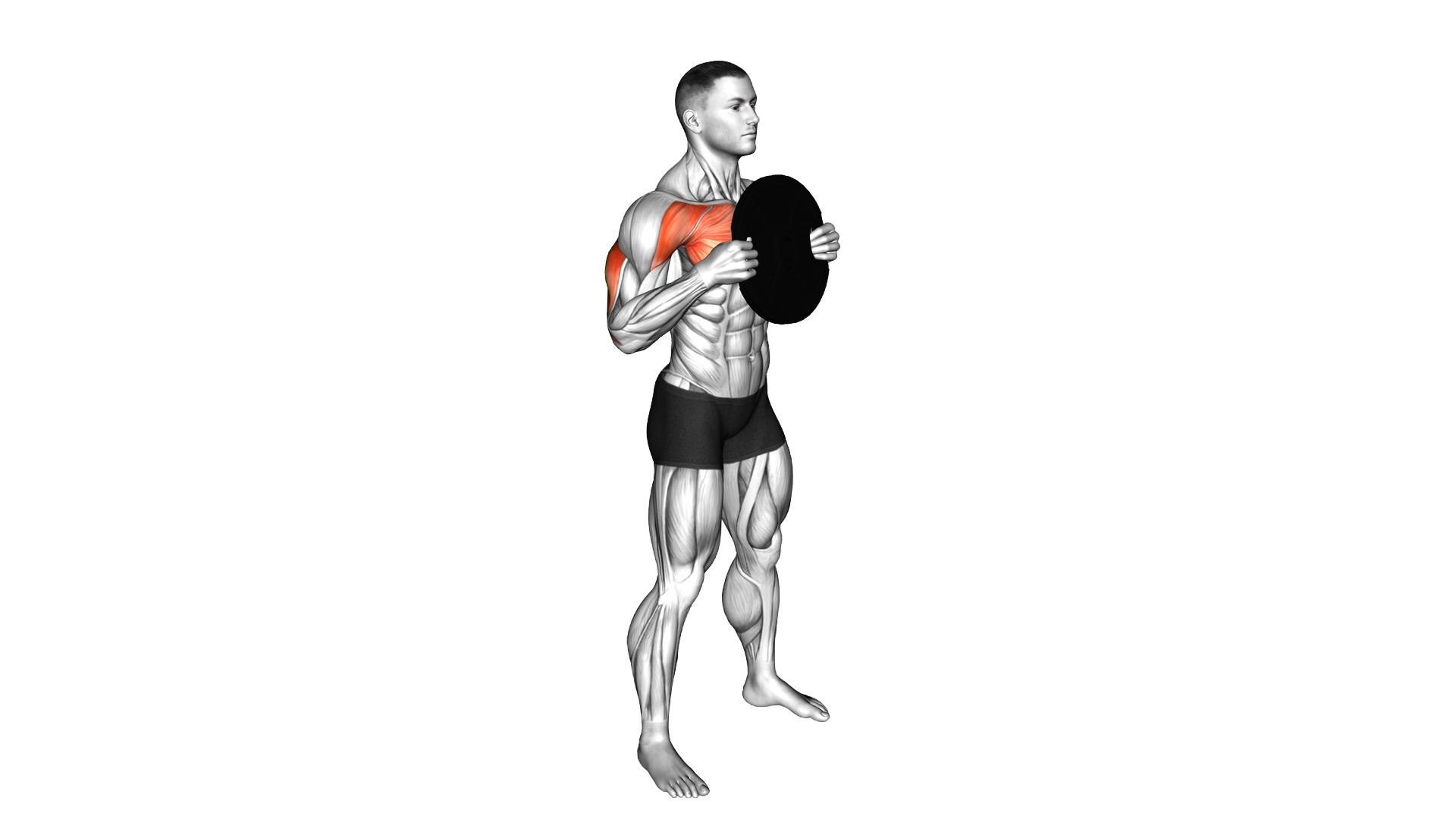 Standing Plate Press exercise demonstration
