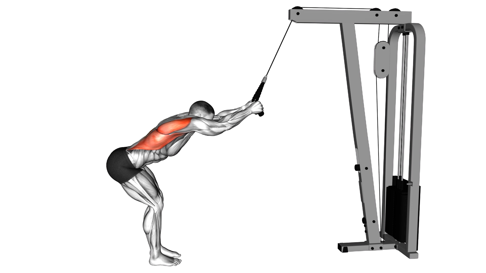 Cable Standing Lat Pushdown (rope equipment) exercise demonstration