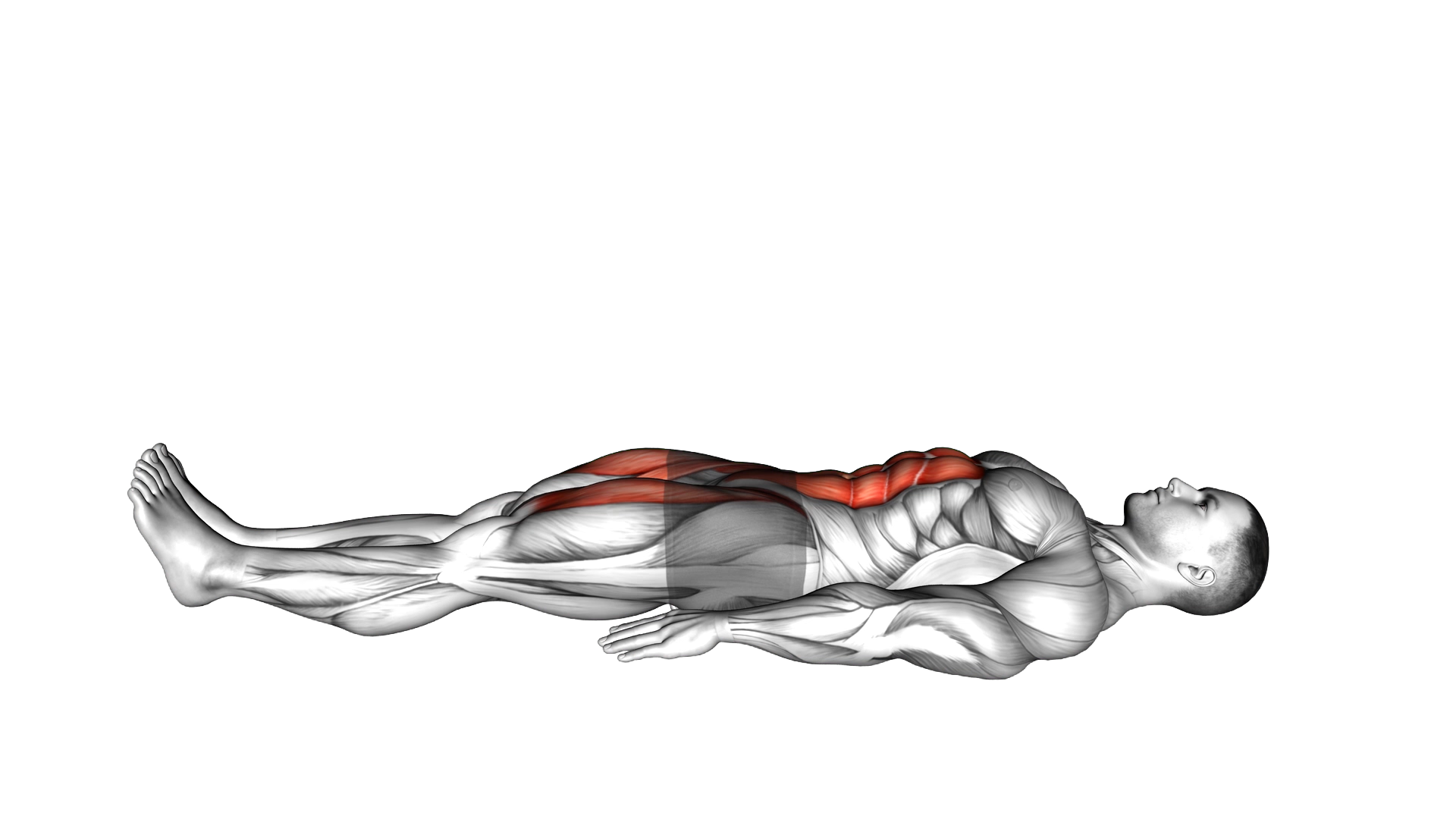 Lying Leg Raise and Hold exercise demonstration
