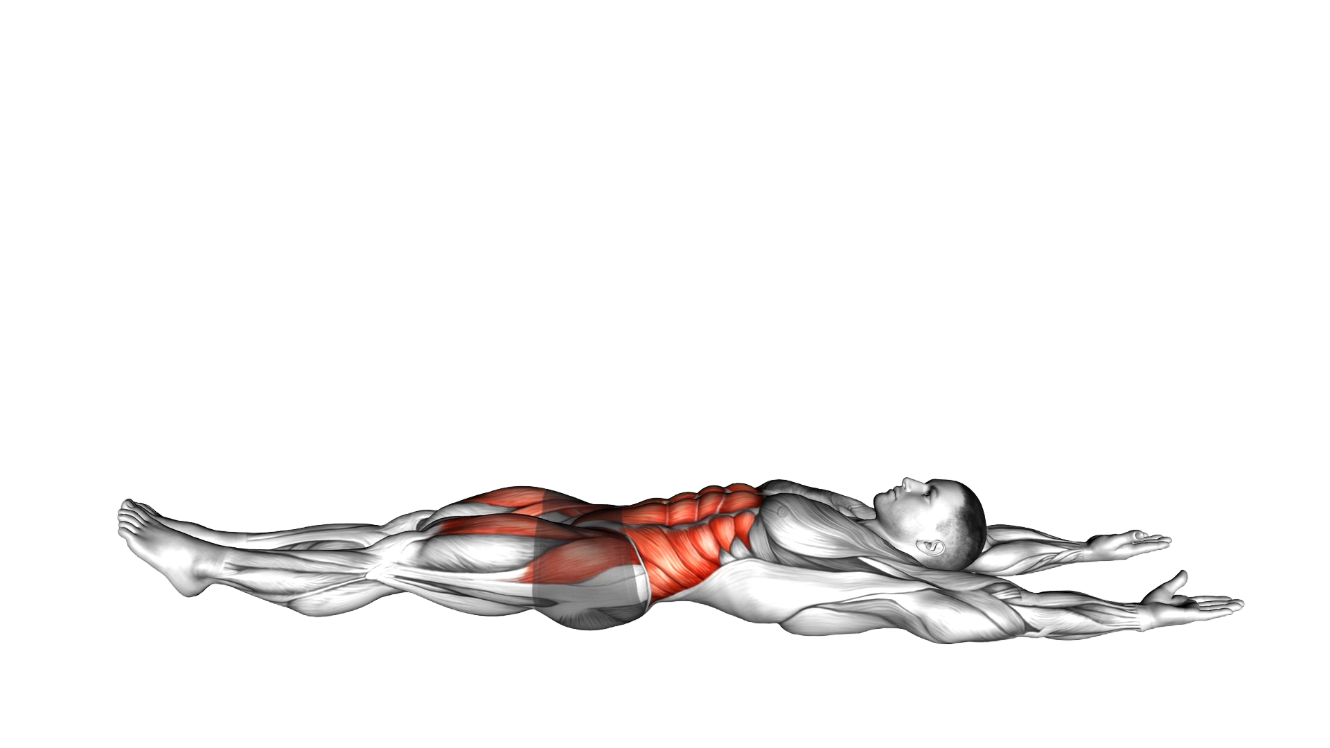 Hollow Hold exercise demonstration