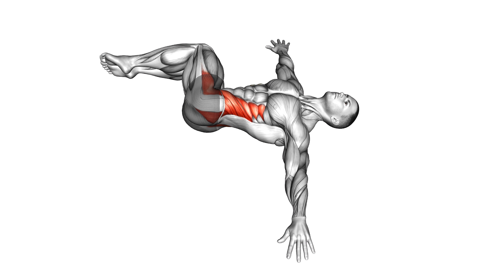 Half Wipers (bent leg) exercise demonstration