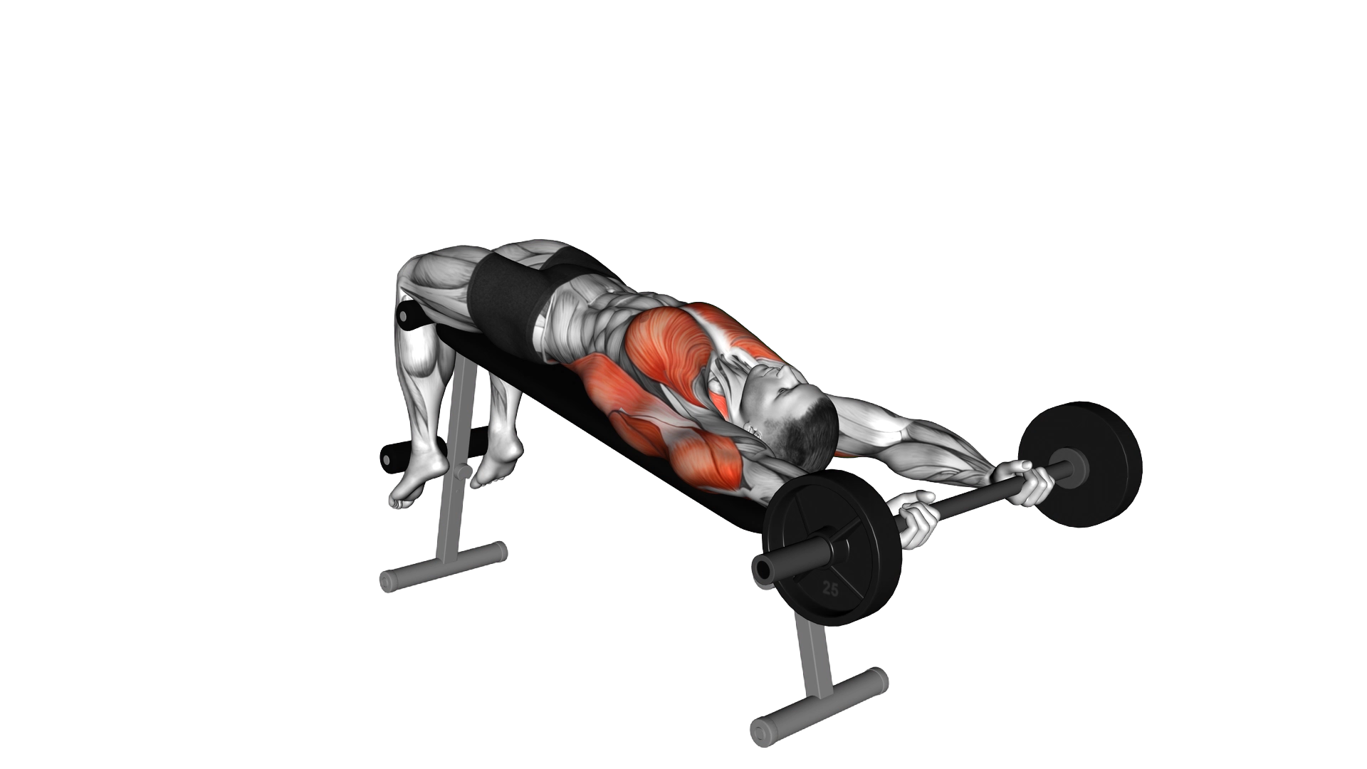 Barbell Decline Pullover exercise demonstration