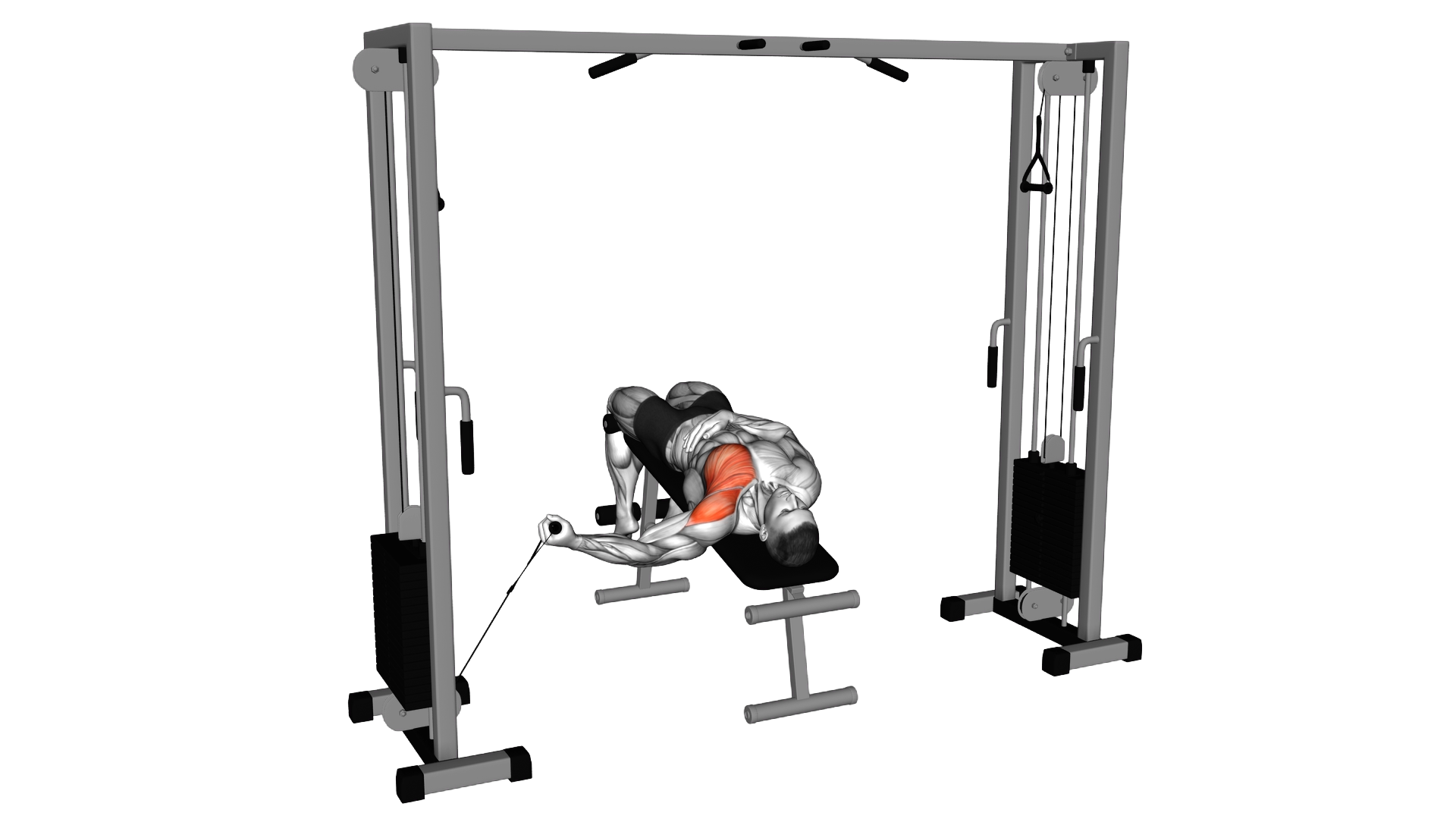 Cable One Arm Decline Chest Fly exercise demonstration