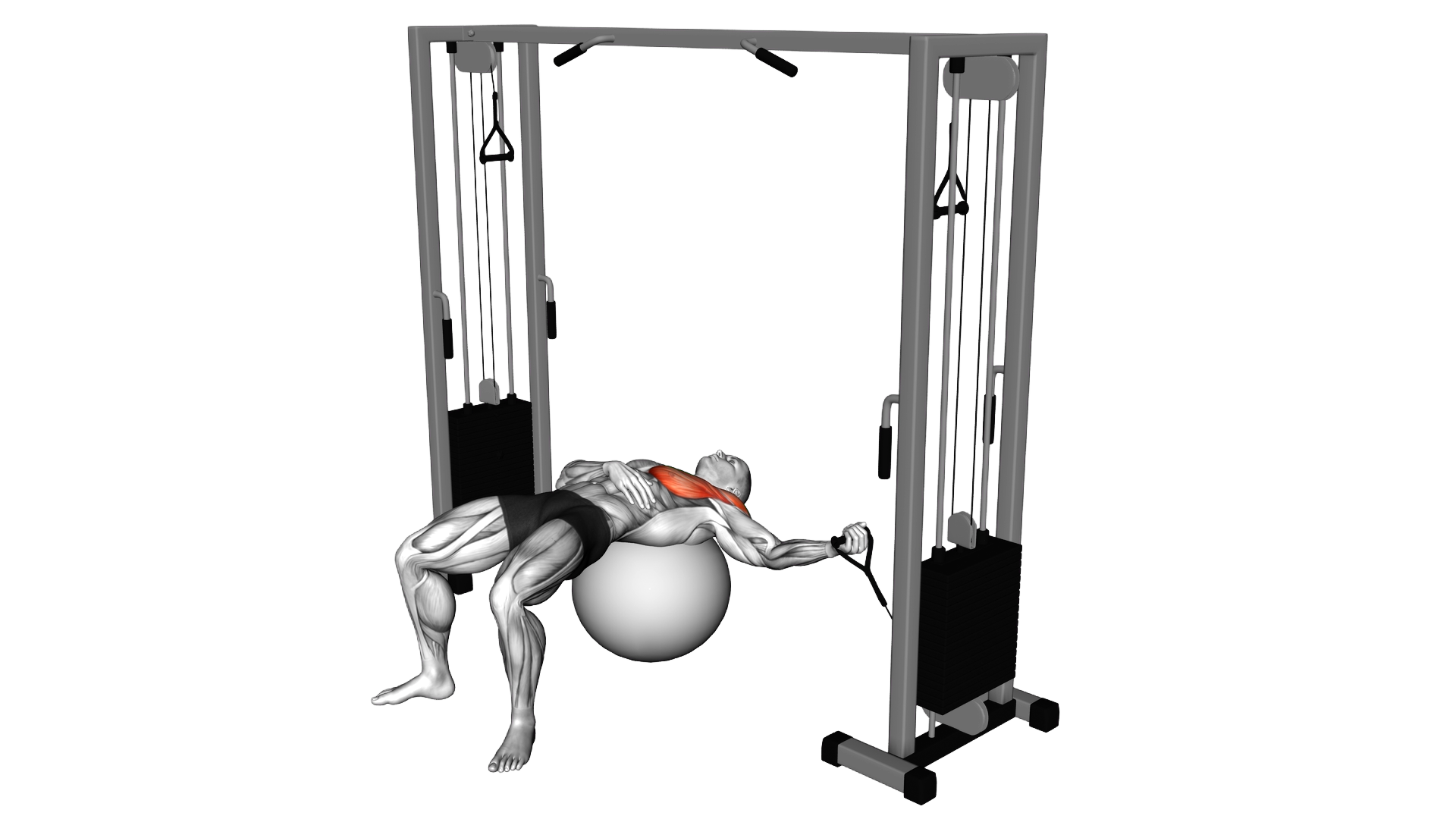 Cable One Arm Fly on Exercise Ball exercise demonstration