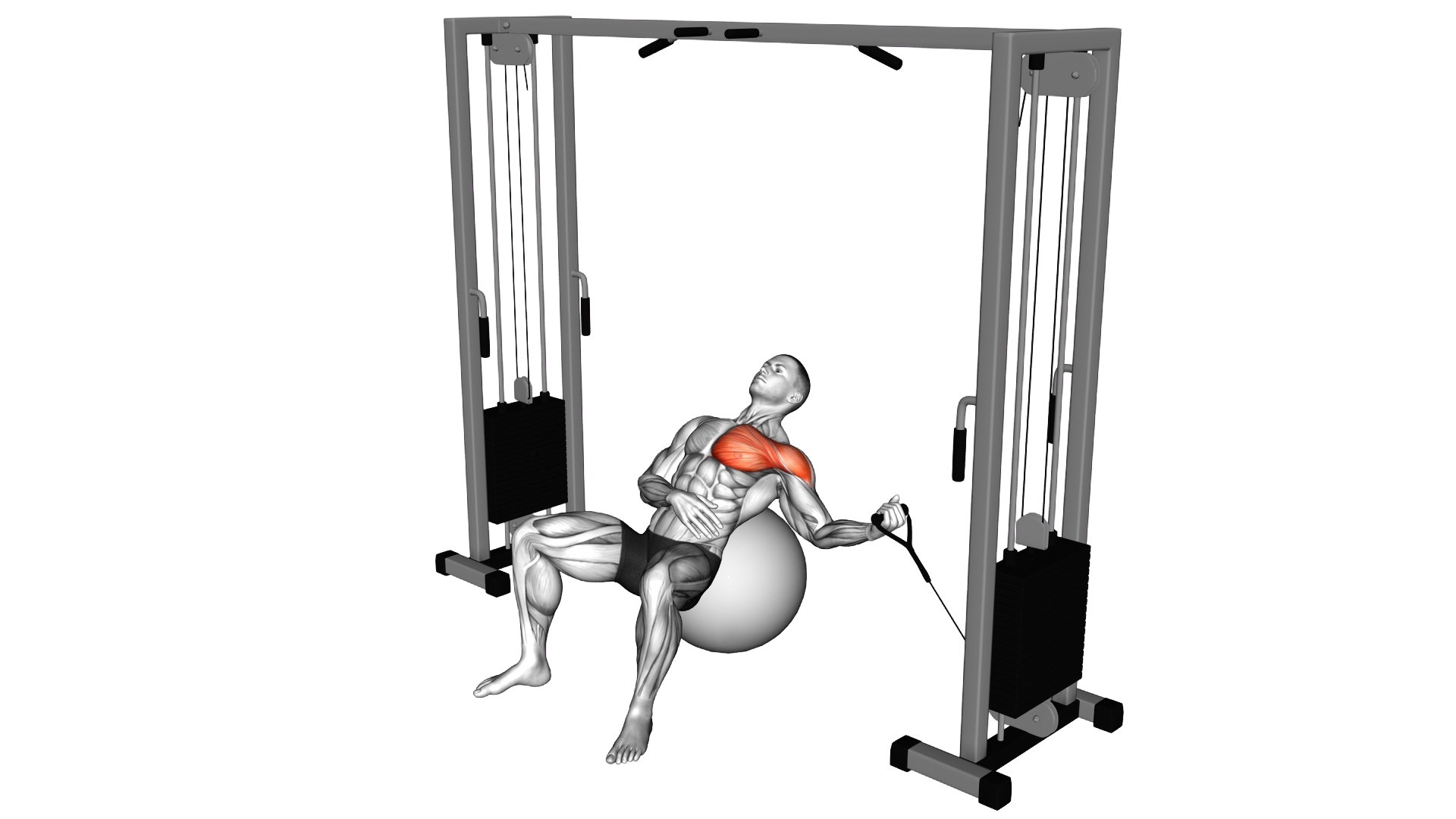 Cable One Arm Incline Fly on Exercise Ball exercise demonstration