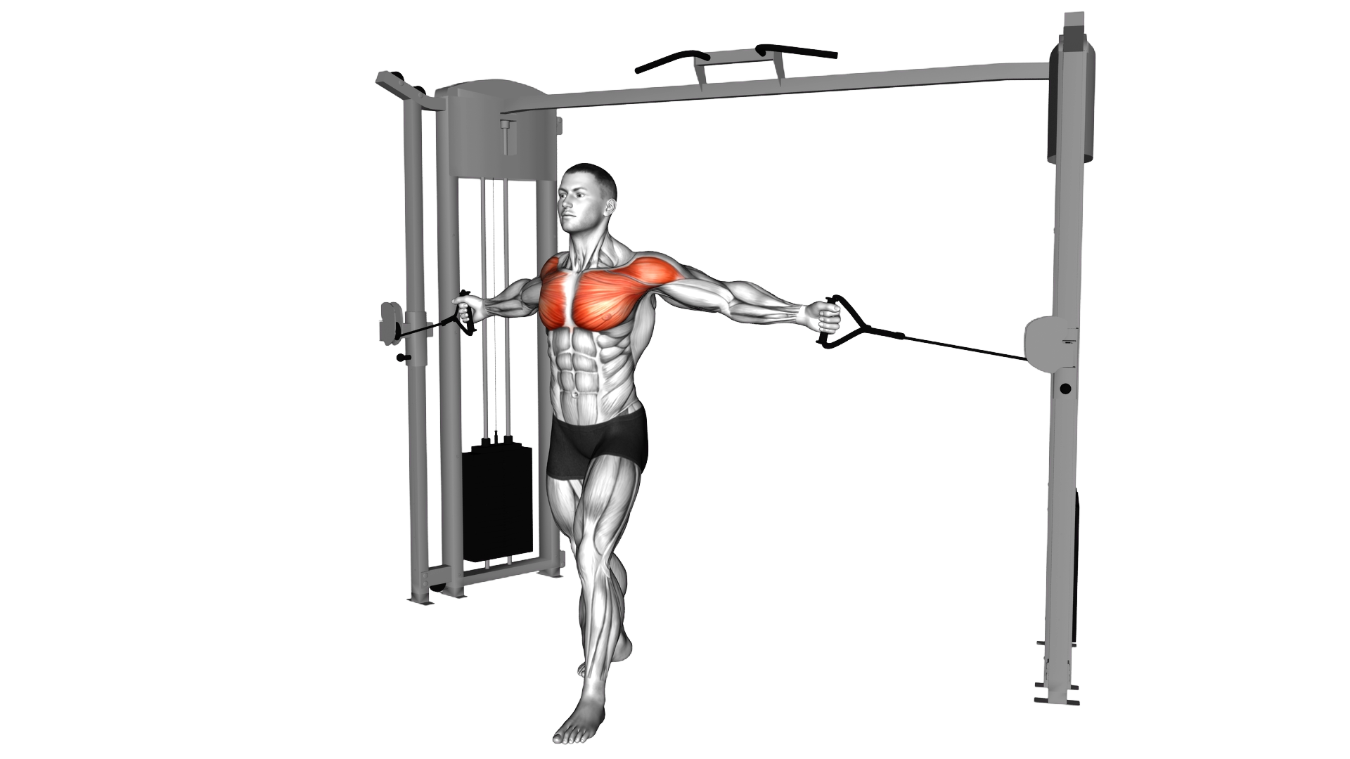 Cable Upper Chest Crossovers exercise demonstration
