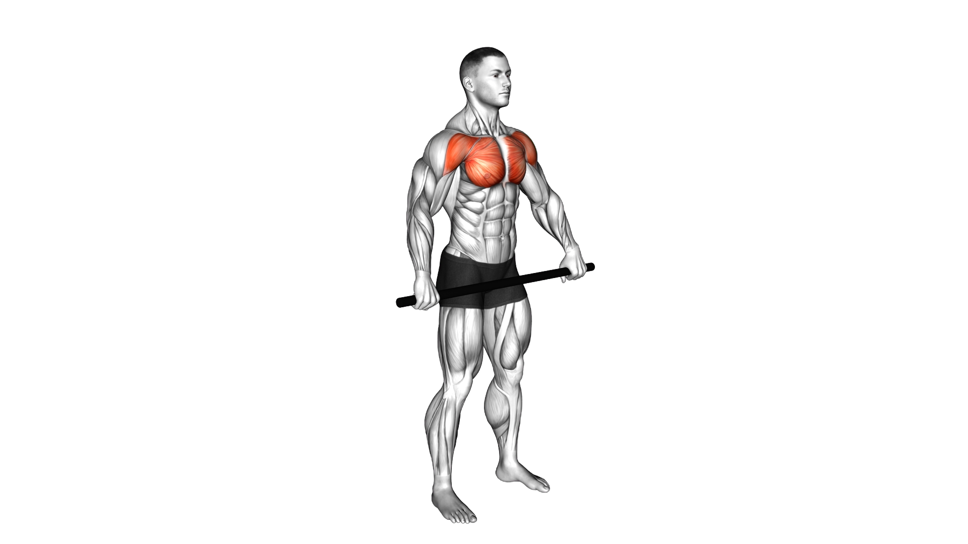 Chest and Front of Shoulder Stretch exercise demonstration