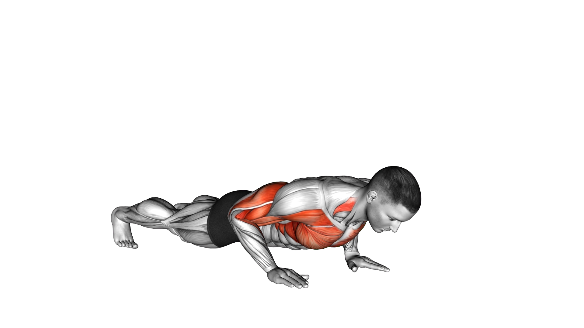 Clap Push Up exercise demonstration