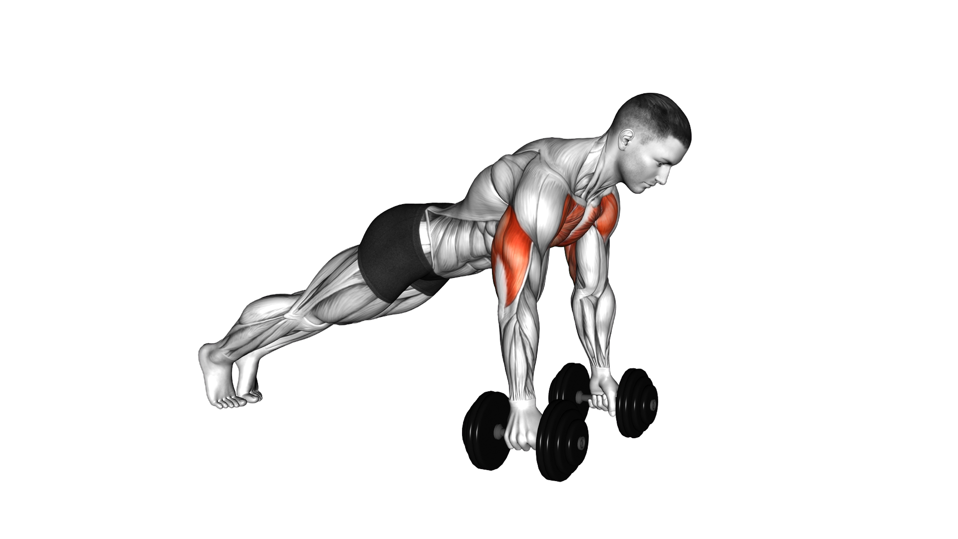 Deep Push Up exercise demonstration