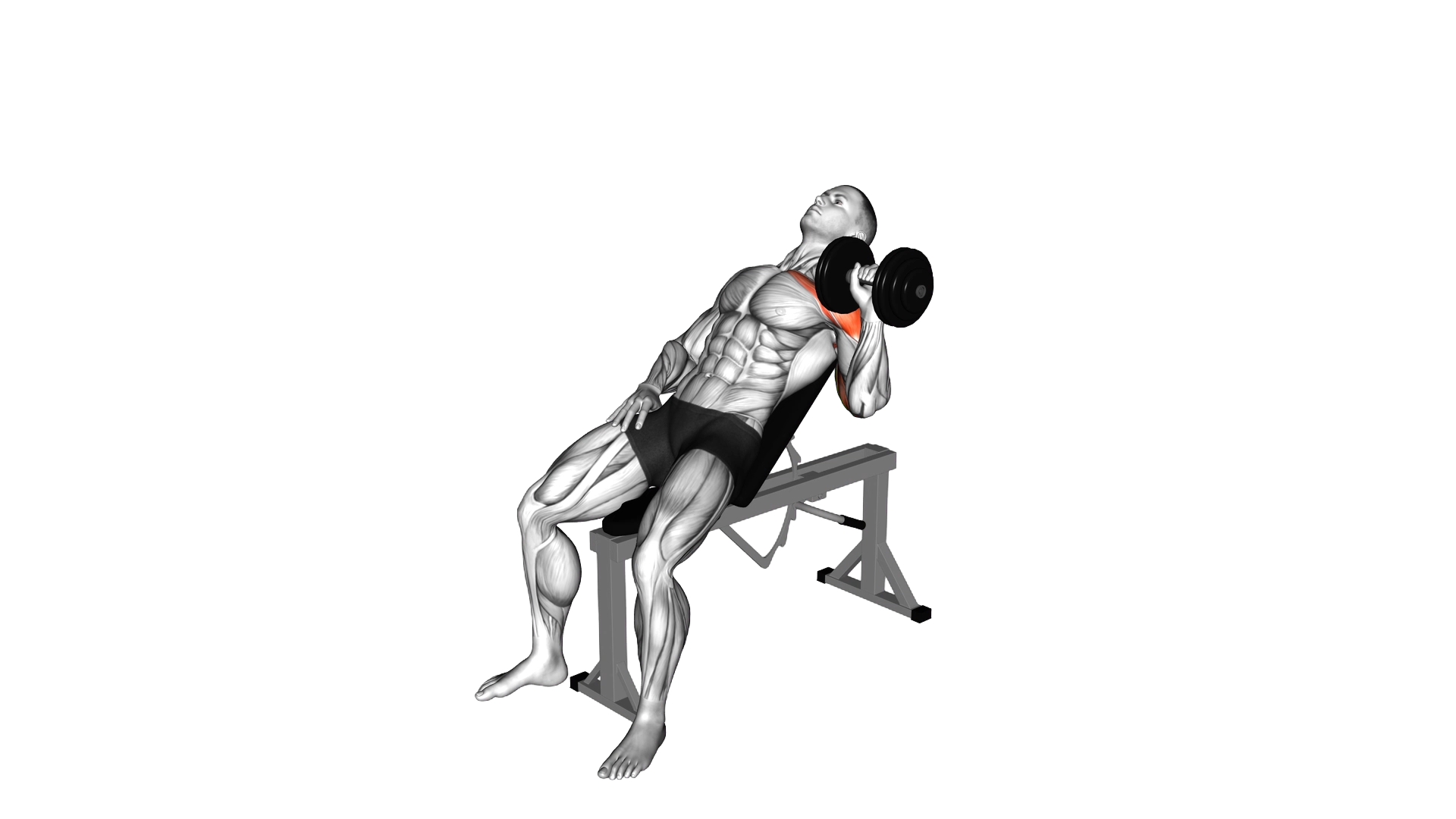 Dumbbell Incline One Arm Press exercise demonstration