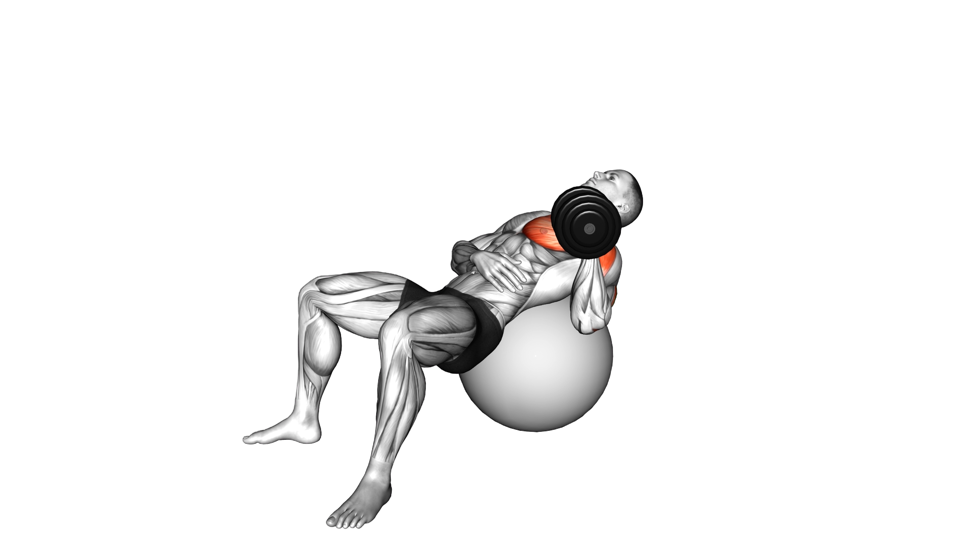 Dumbbell Incline One Arm Press on Exercise Ball exercise demonstration