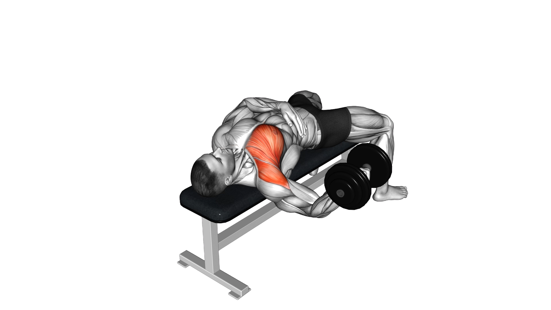 Dumbbell One Arm Bench Fly exercise demonstration