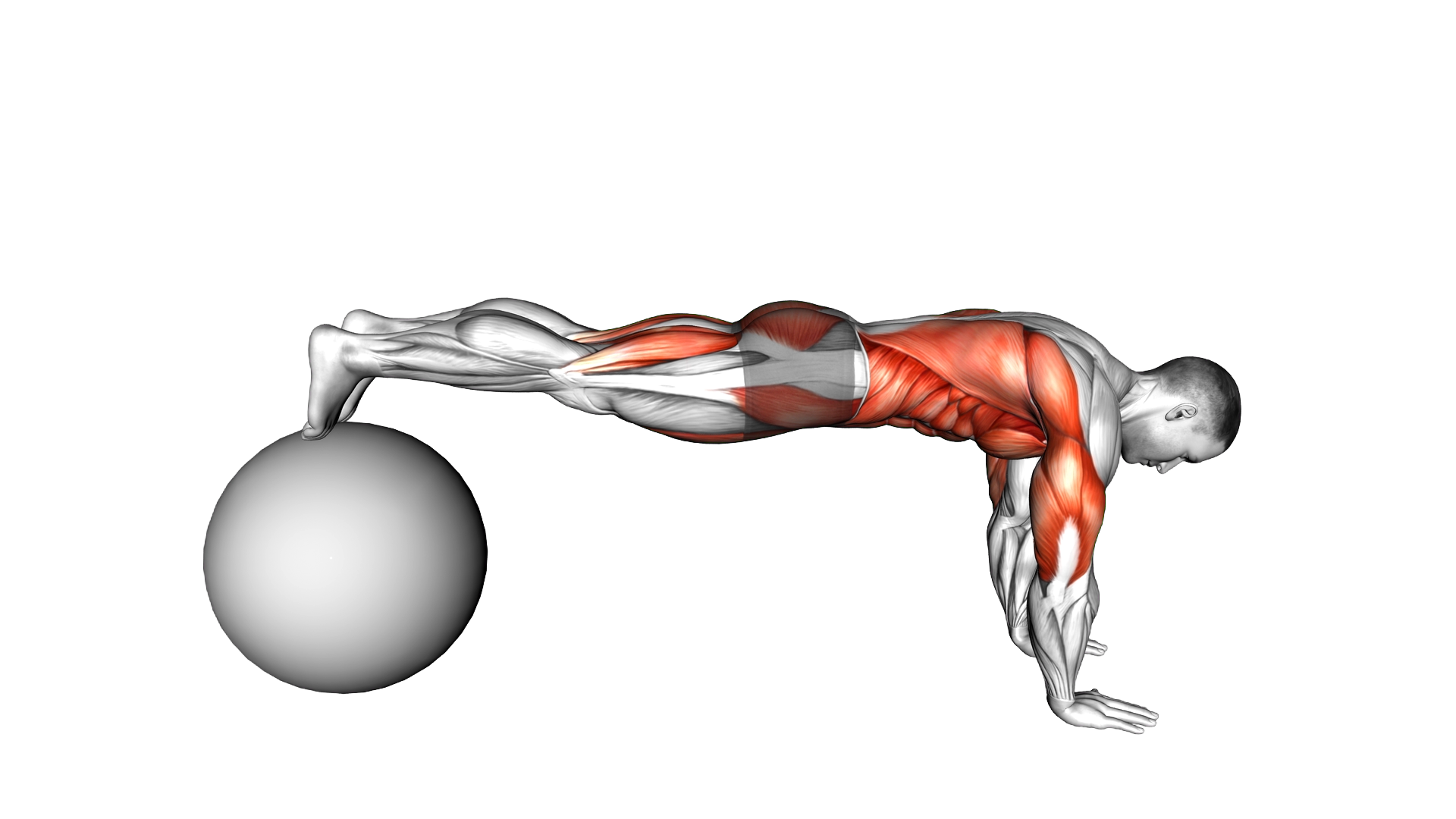 Exercise Ball Pike Pushup exercise demonstration