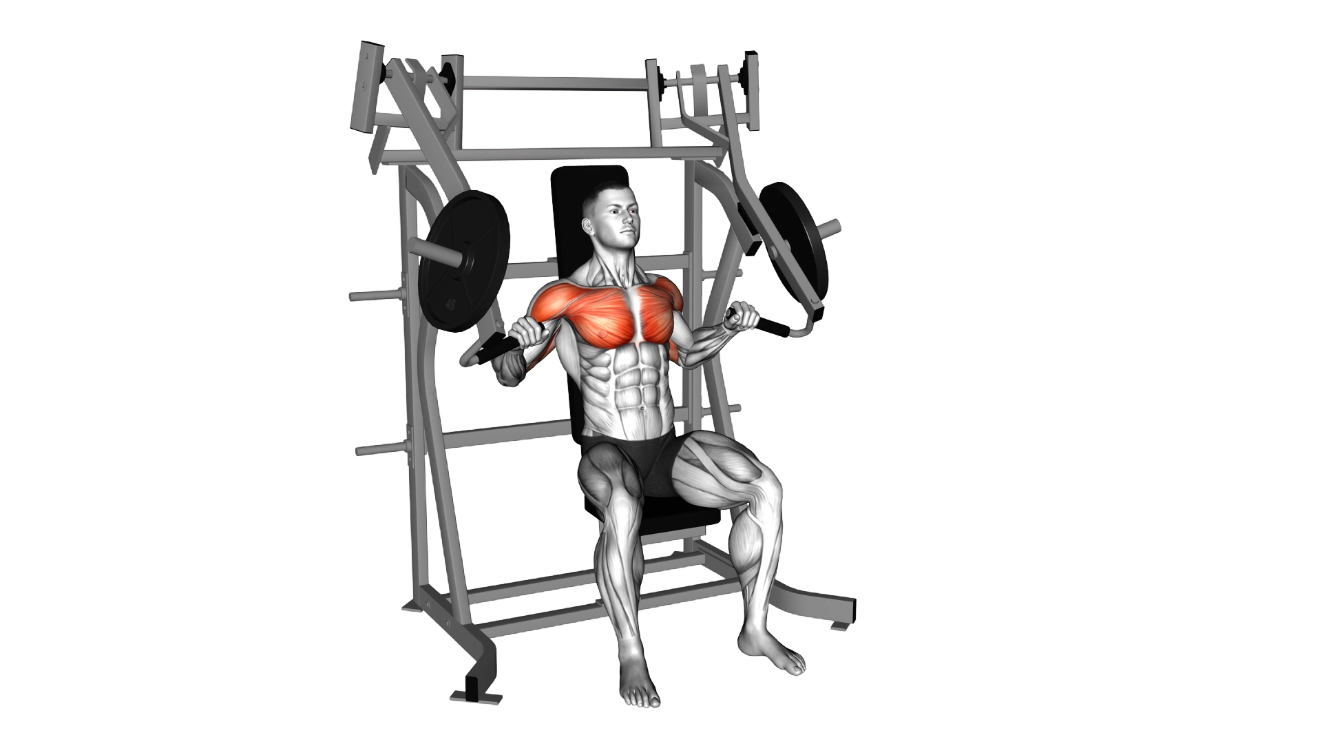 Lever Incline Chest Press exercise demonstration