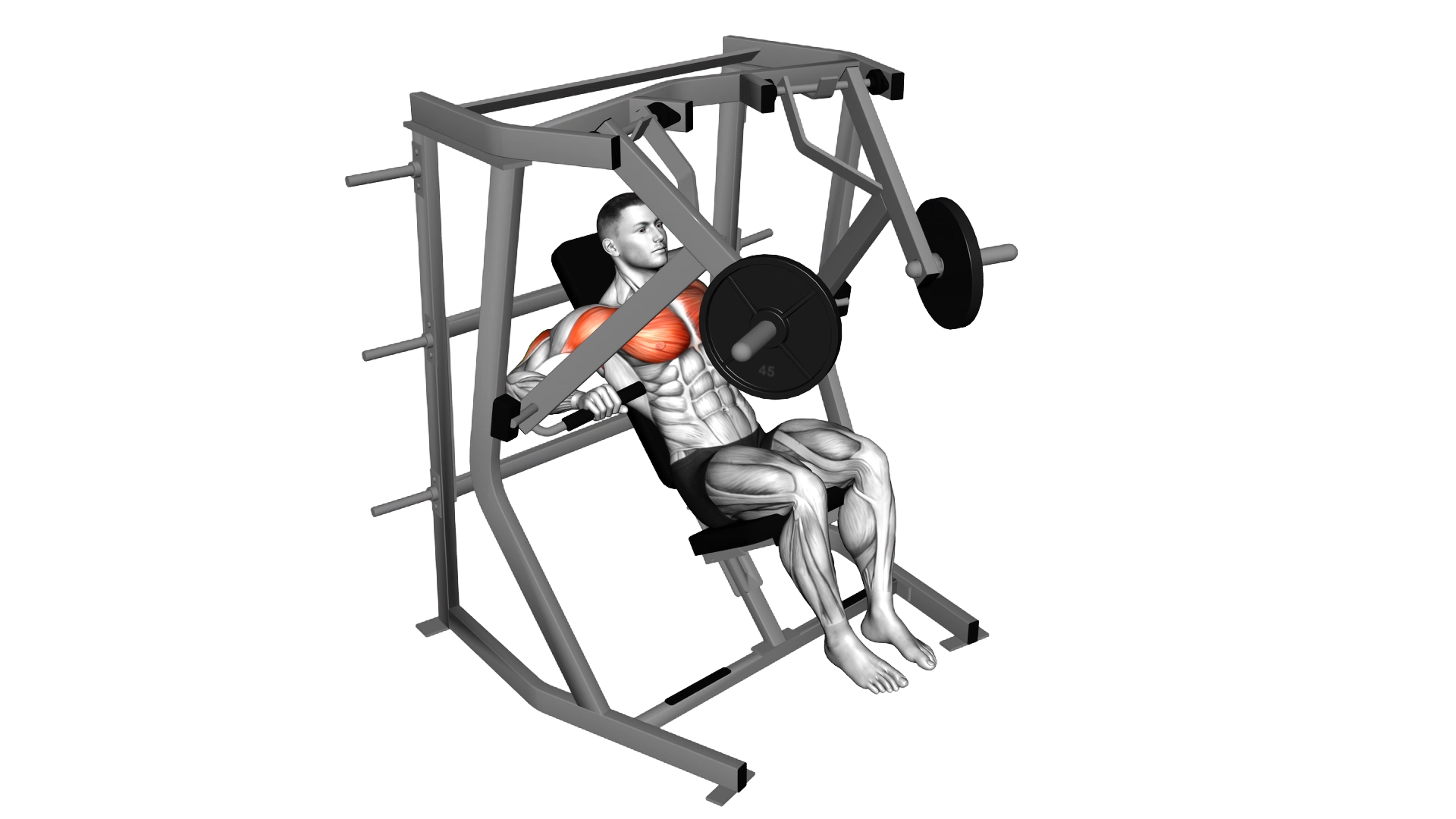 Lever Decline Chest Press exercise demonstration