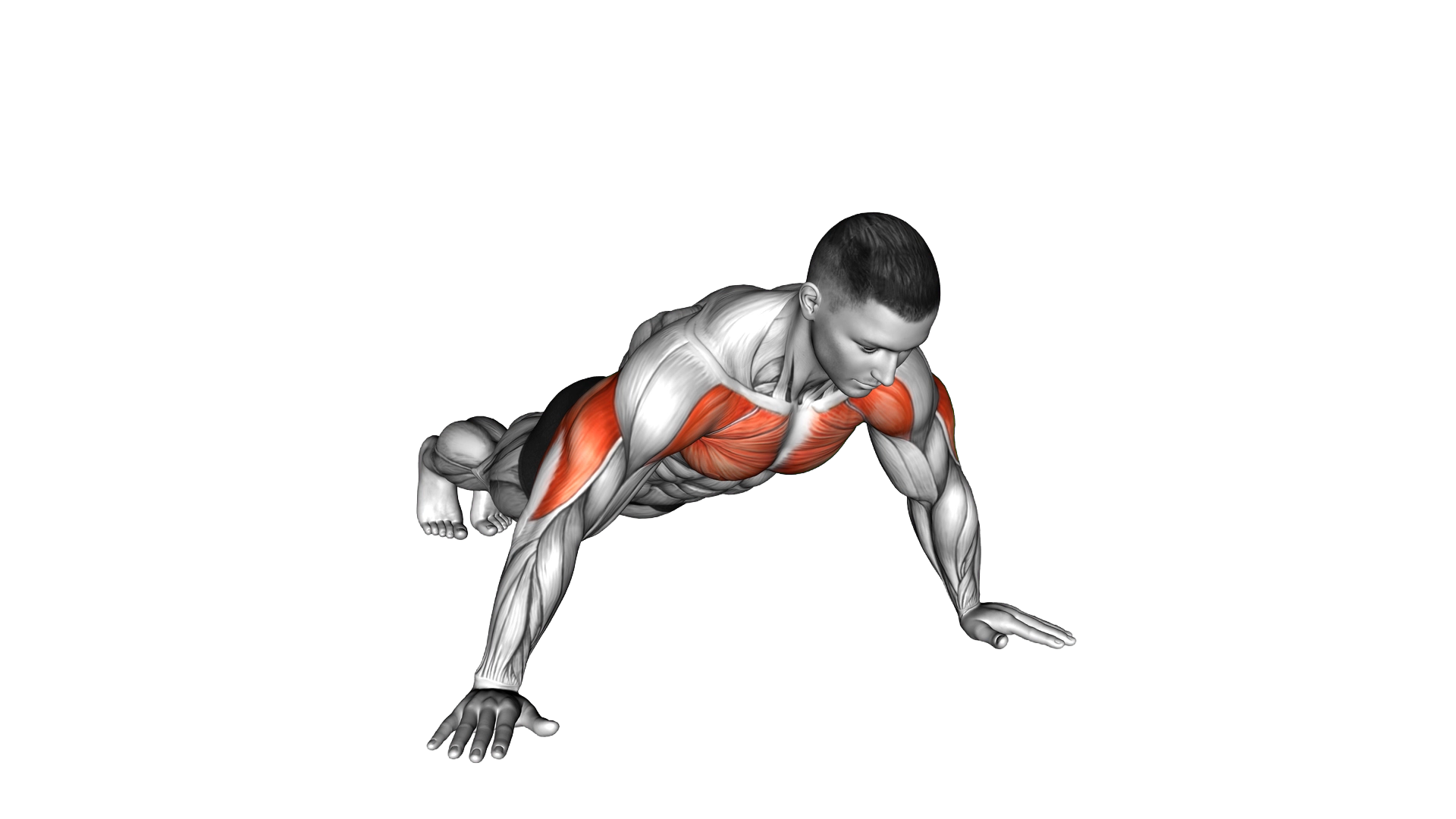 Wide Hand Push up exercise demonstration