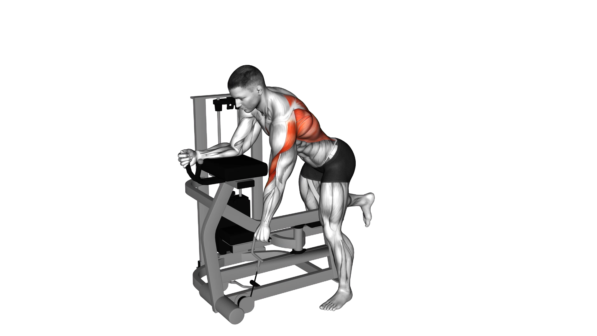 Lever Unilateral Row exercise demonstration