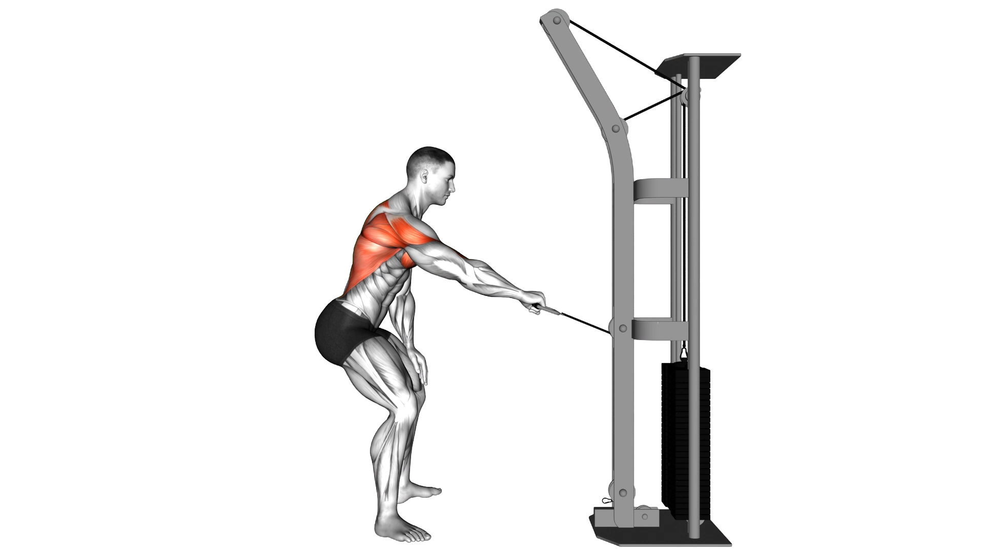 Cable Palm Rotational Row exercise demonstration
