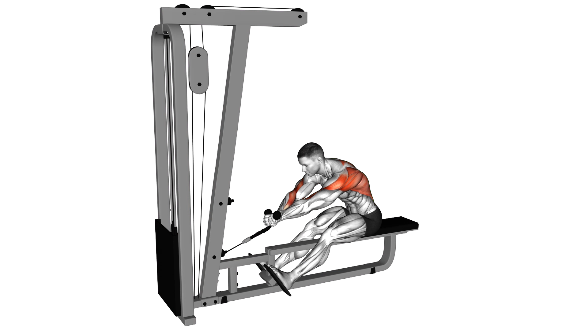 Cable Rope Crossover Seated Row exercise demonstration