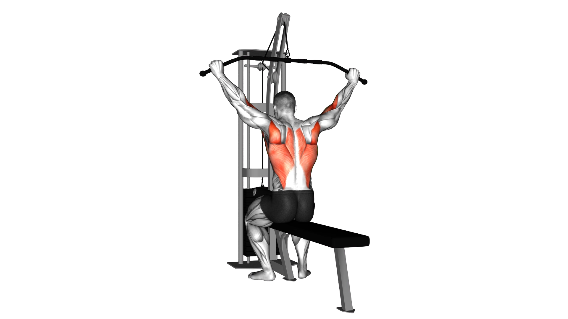 Cable Wide Grip Rear Pulldown Behind Neck exercise demonstration