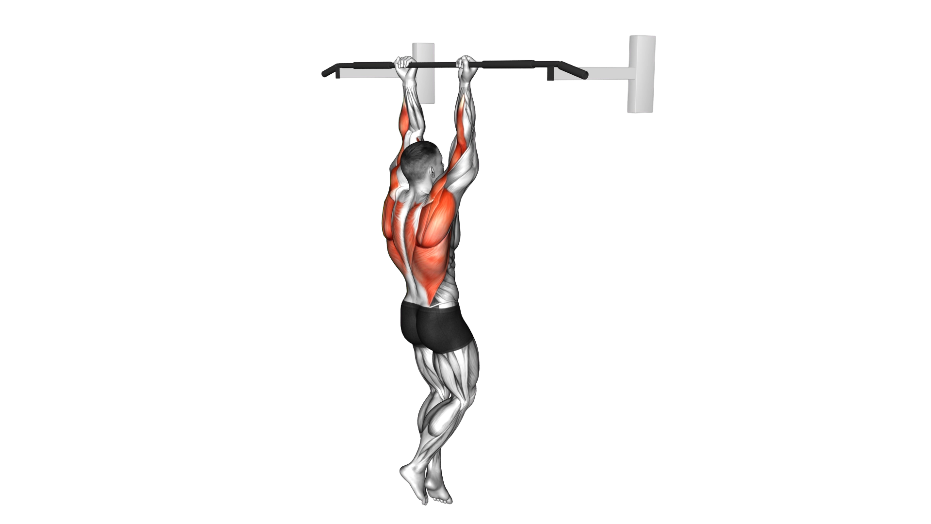 Chin Up exercise demonstration