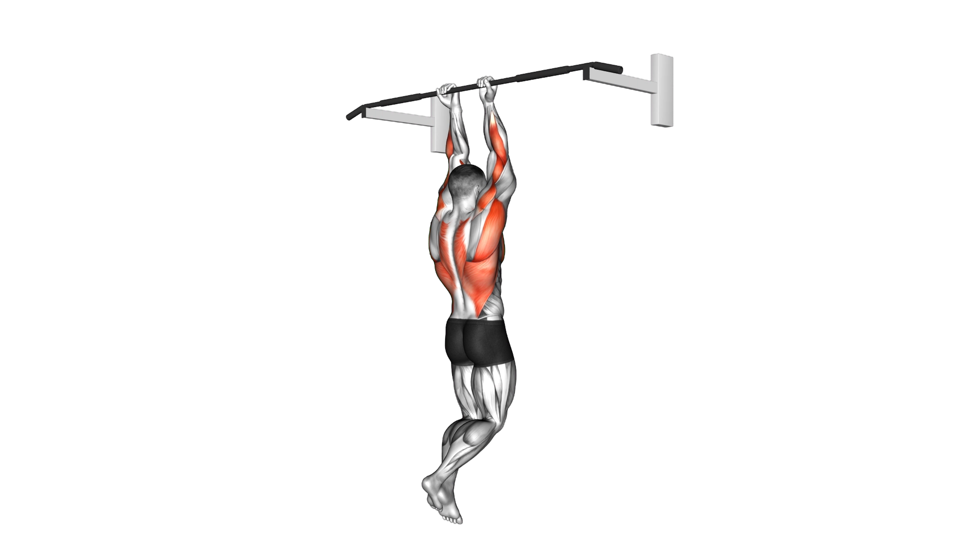 Close Grip Chin Up exercise demonstration