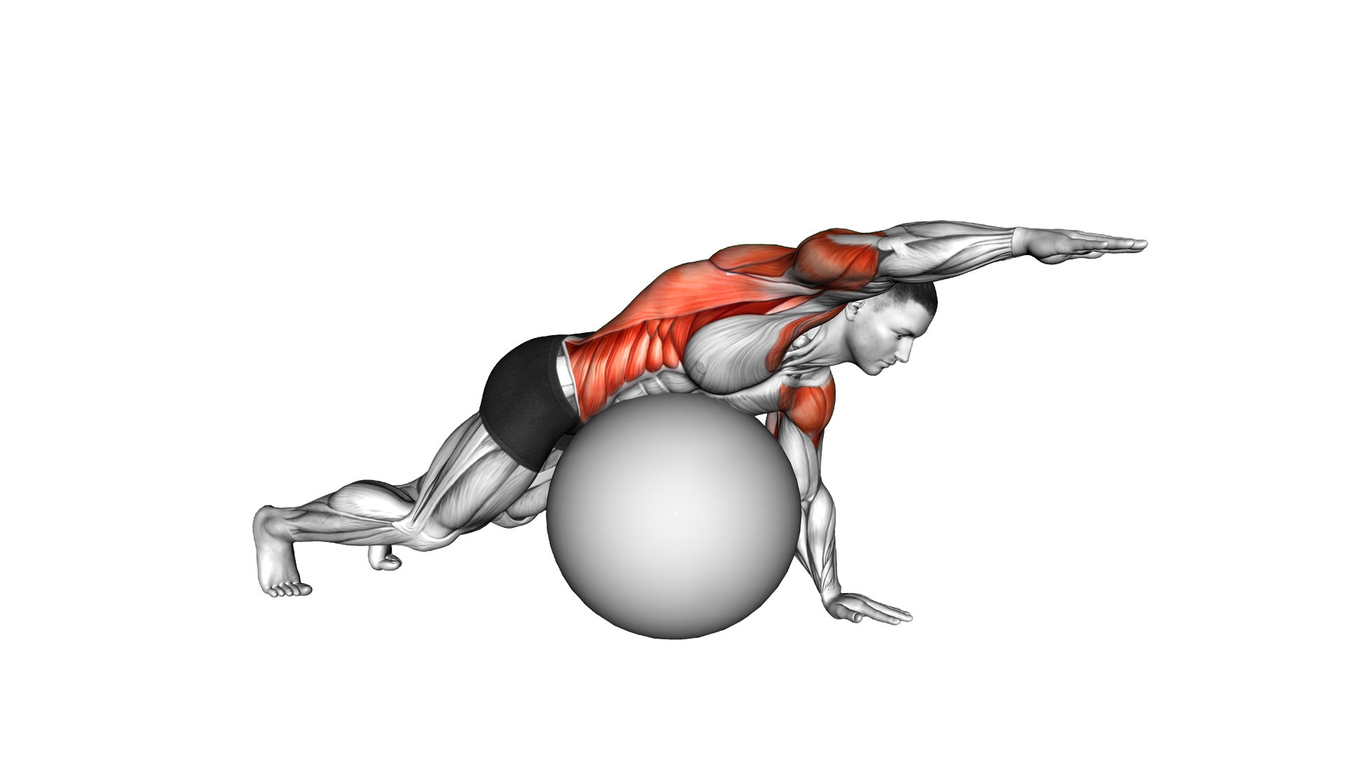 Exercise Ball Alternating Arm Ups exercise demonstration