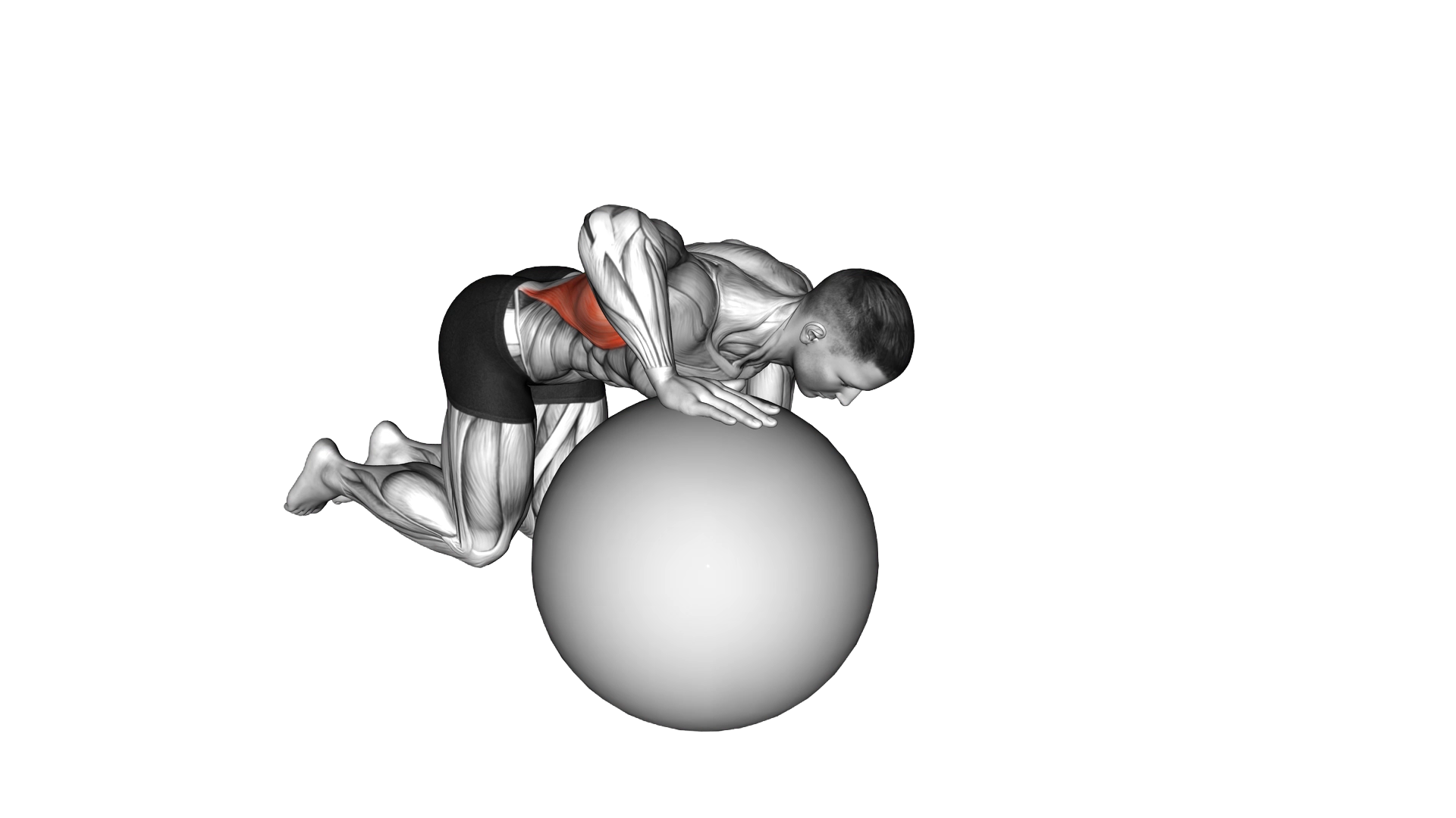 Exercise Ball Lat Stretch exercise demonstration