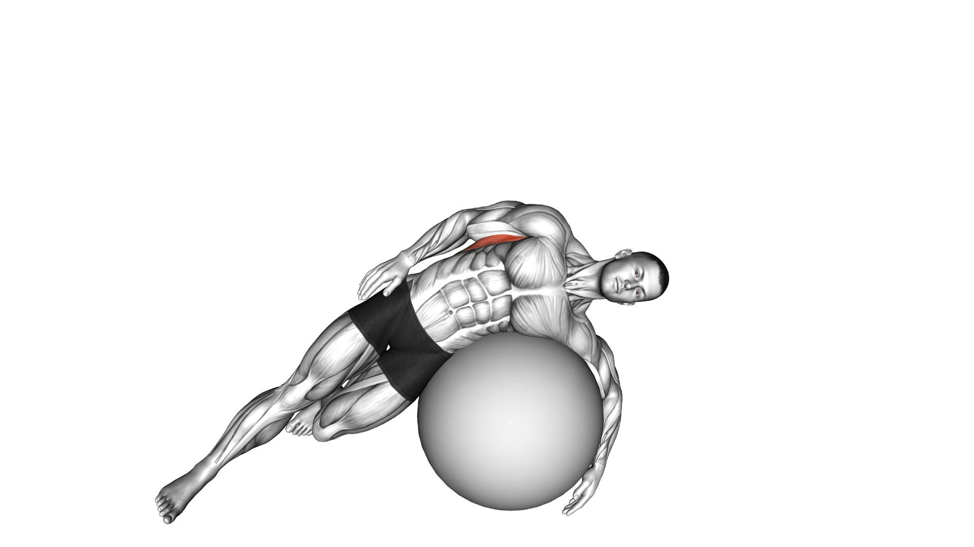 Exercise Ball Lying Side Lat Stretch exercise demonstration