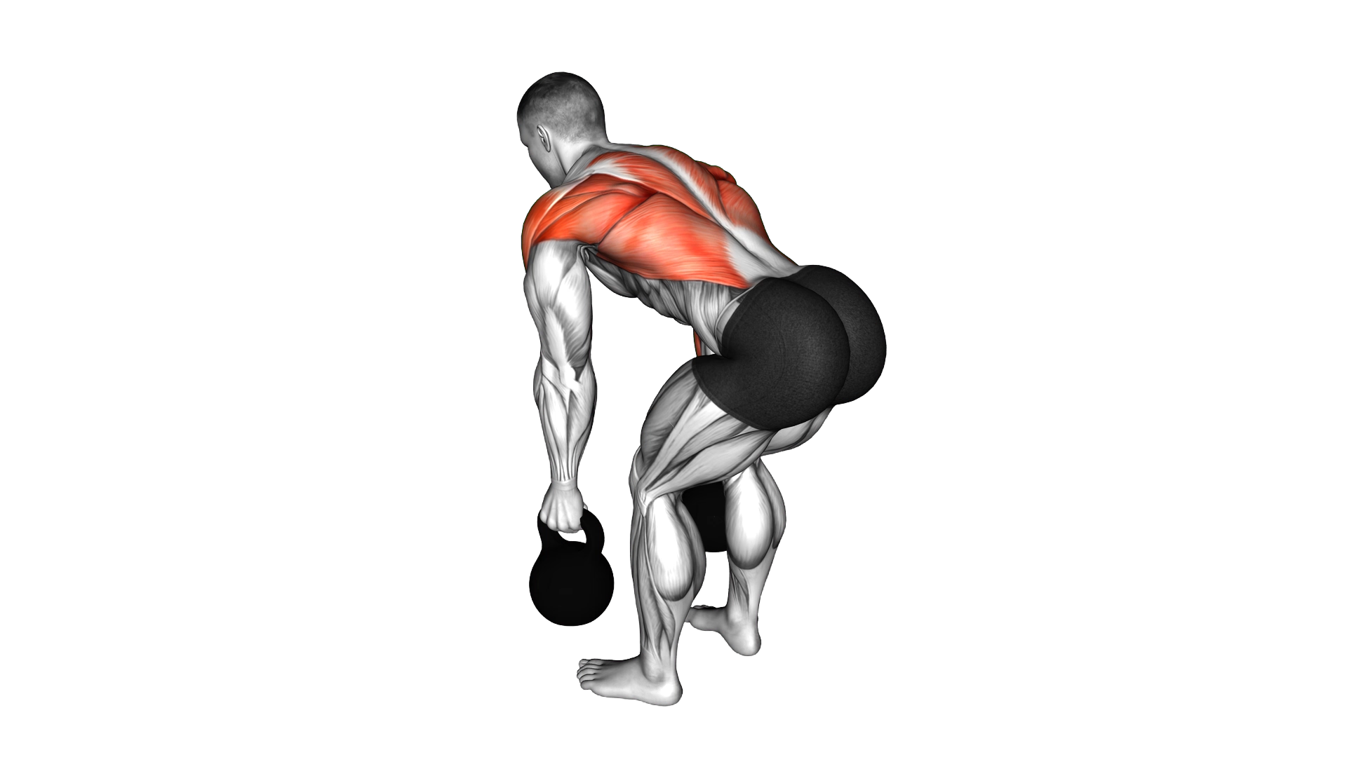 Kettlebell Two Arm Row exercise demonstration