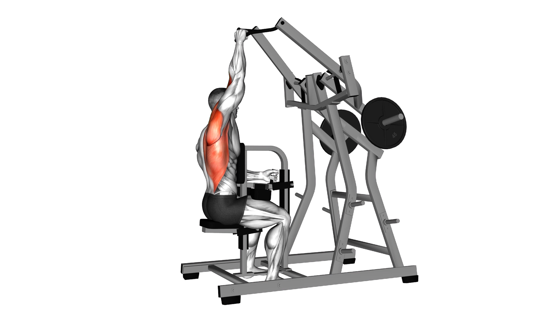 Lever One Arm Lateral Wide Pulldown (plate loaded) exercise demonstration