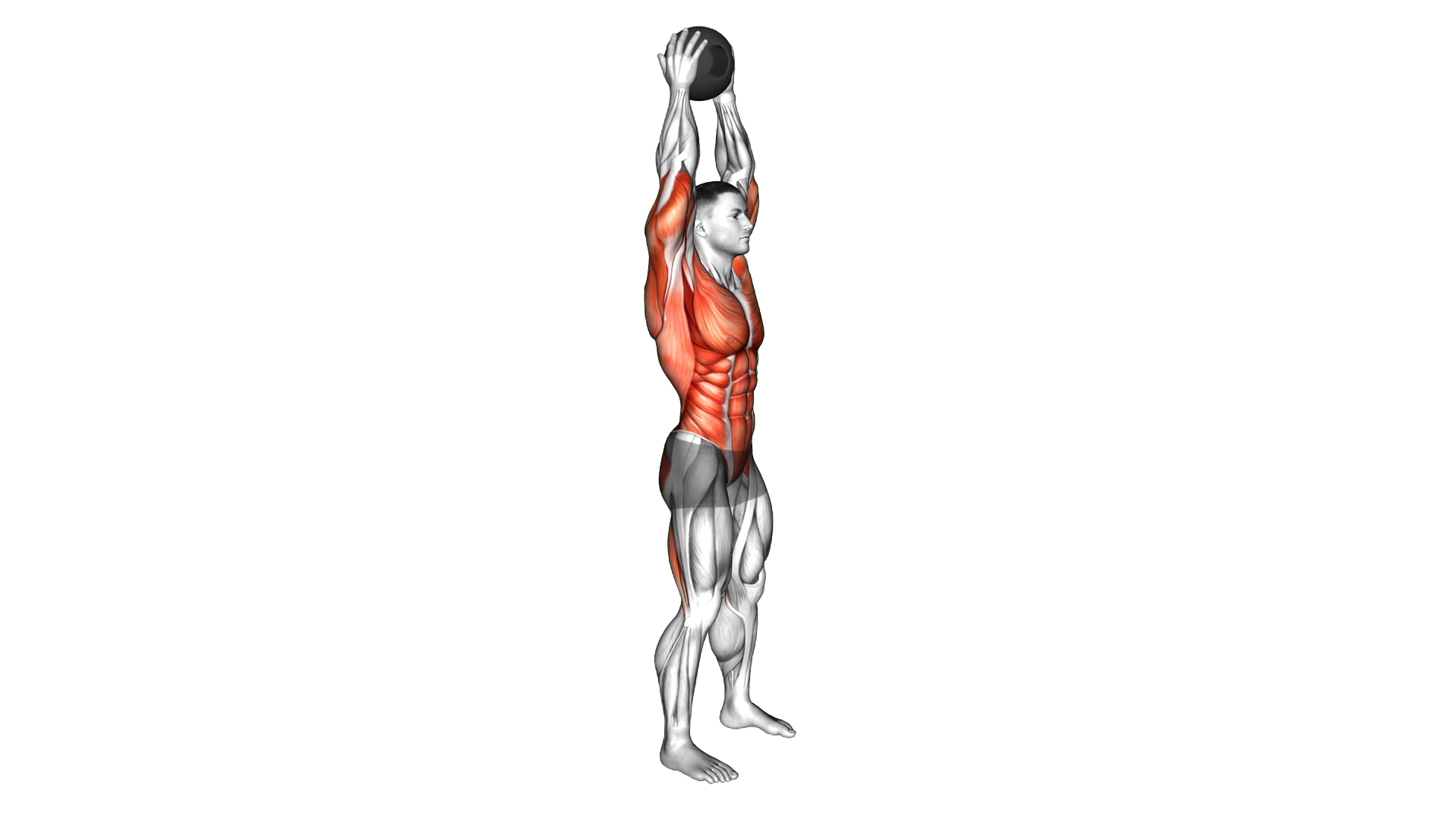 Medicine Ball Catch and Overhead Throw exercise demonstration