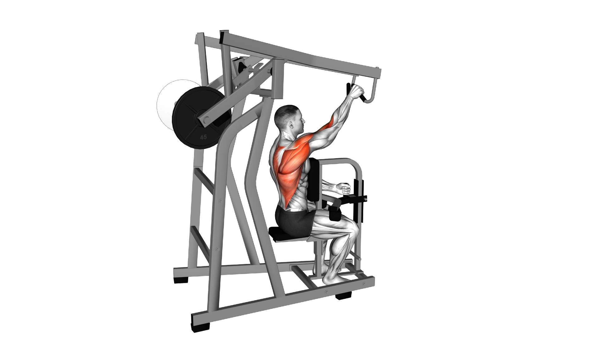 Lever One Arm Lateral High Row exercise demonstration