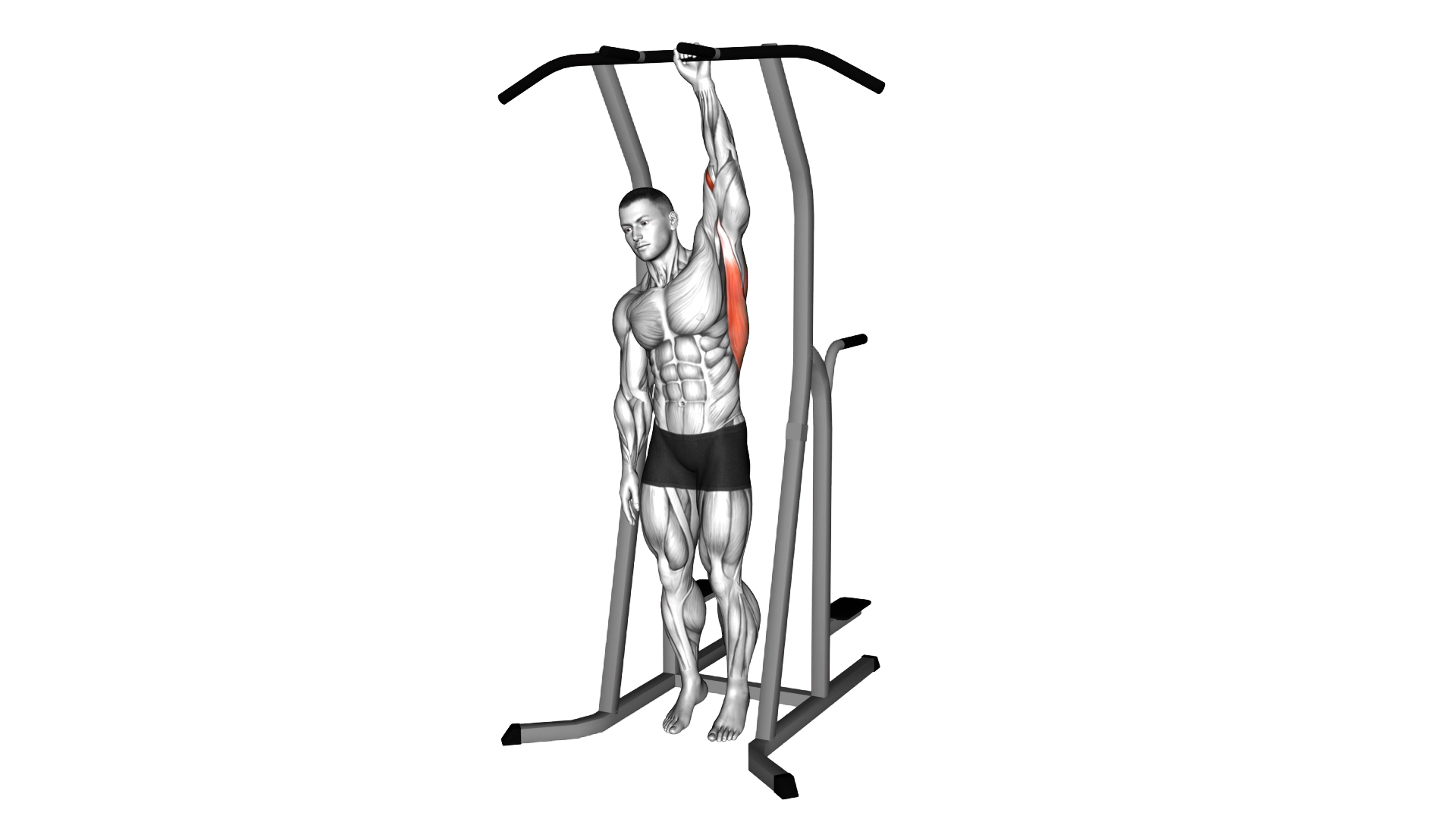 One Handed Hang Stretch exercise demonstration