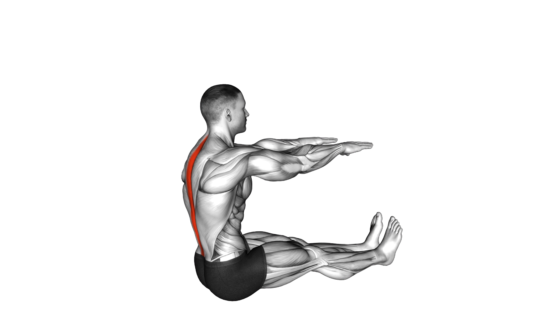 Spine Stretch exercise demonstration