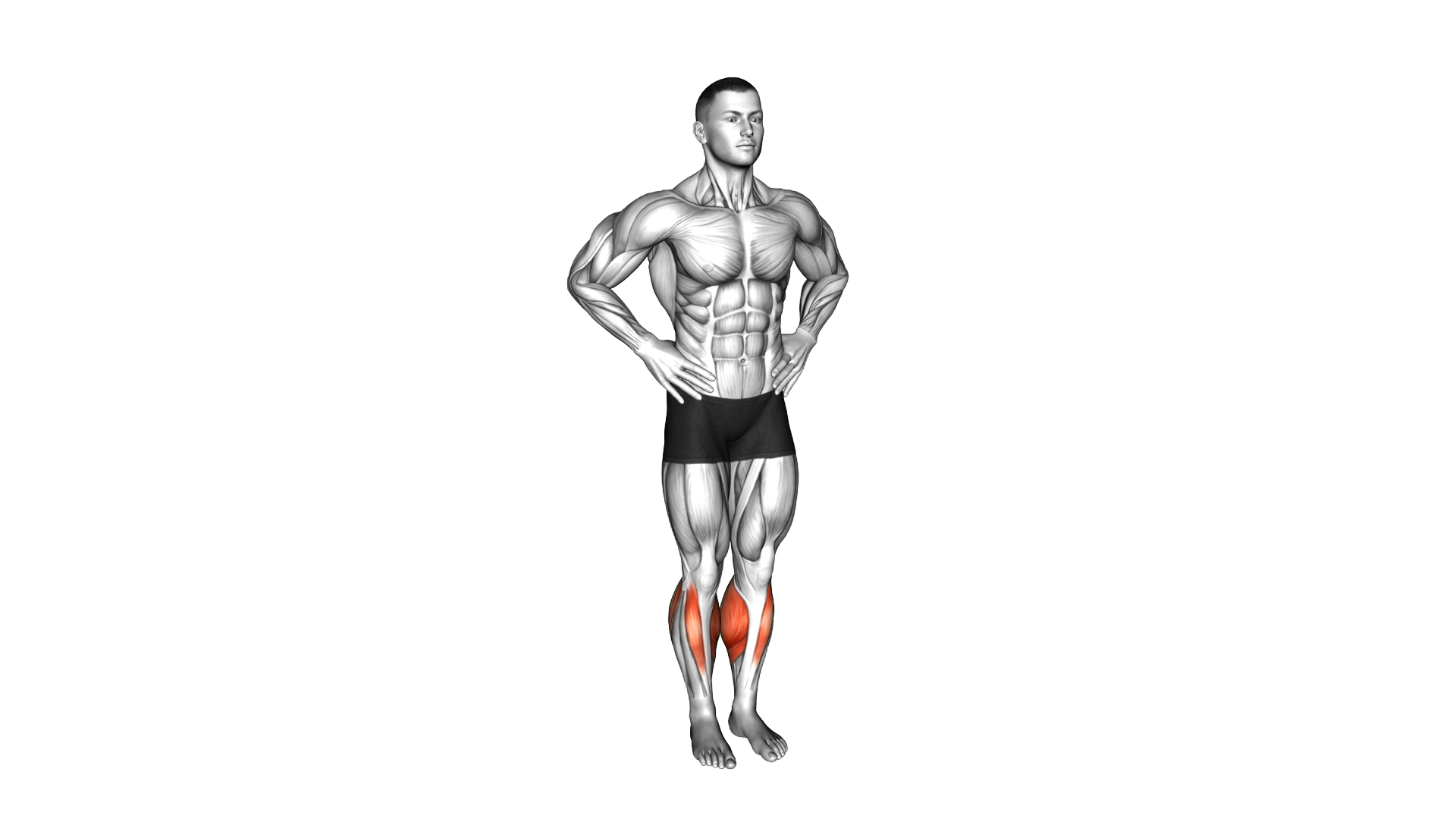 Ankle Circles exercise demonstration