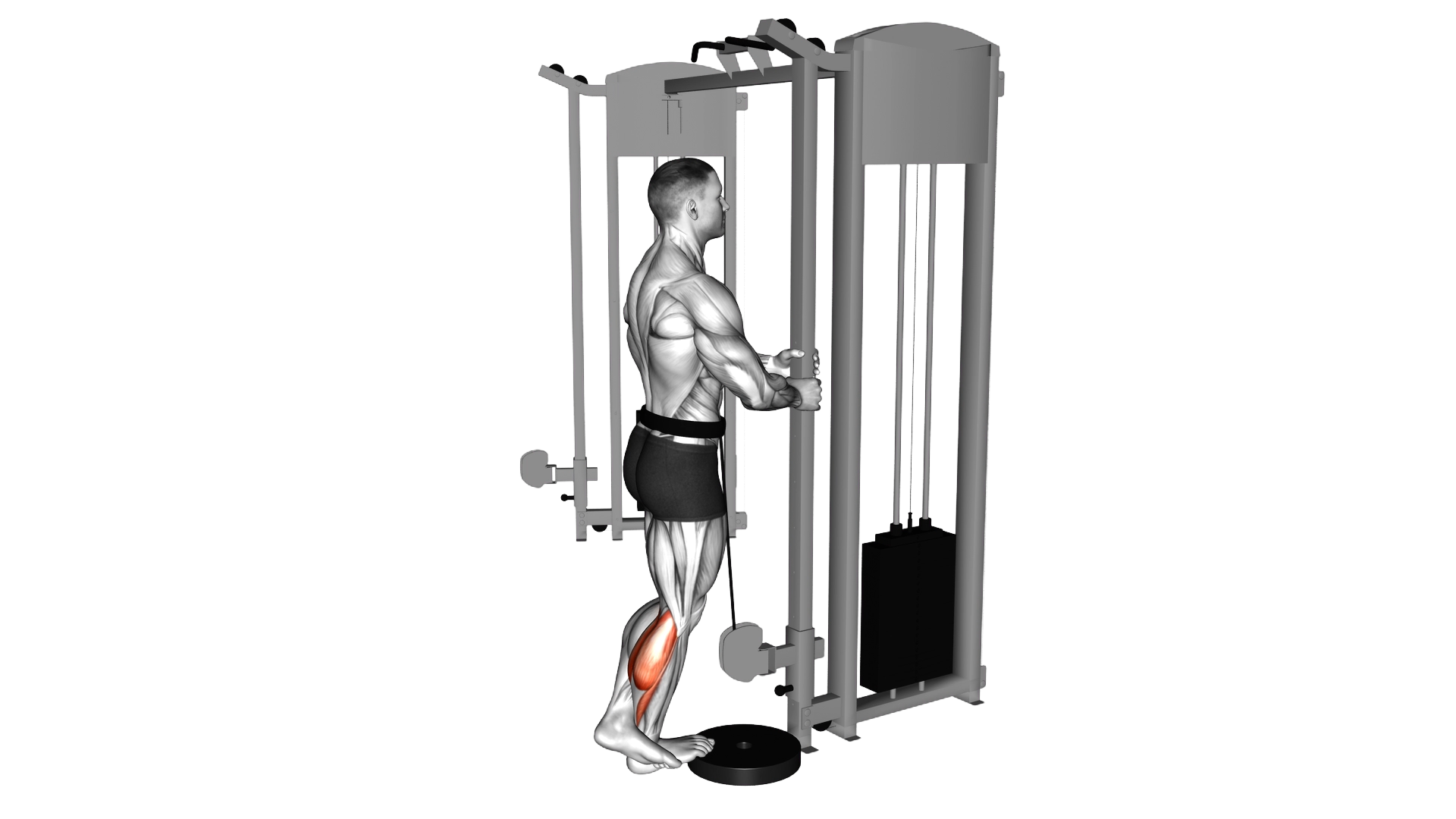 Cable Standing One Leg Calf Raise exercise demonstration