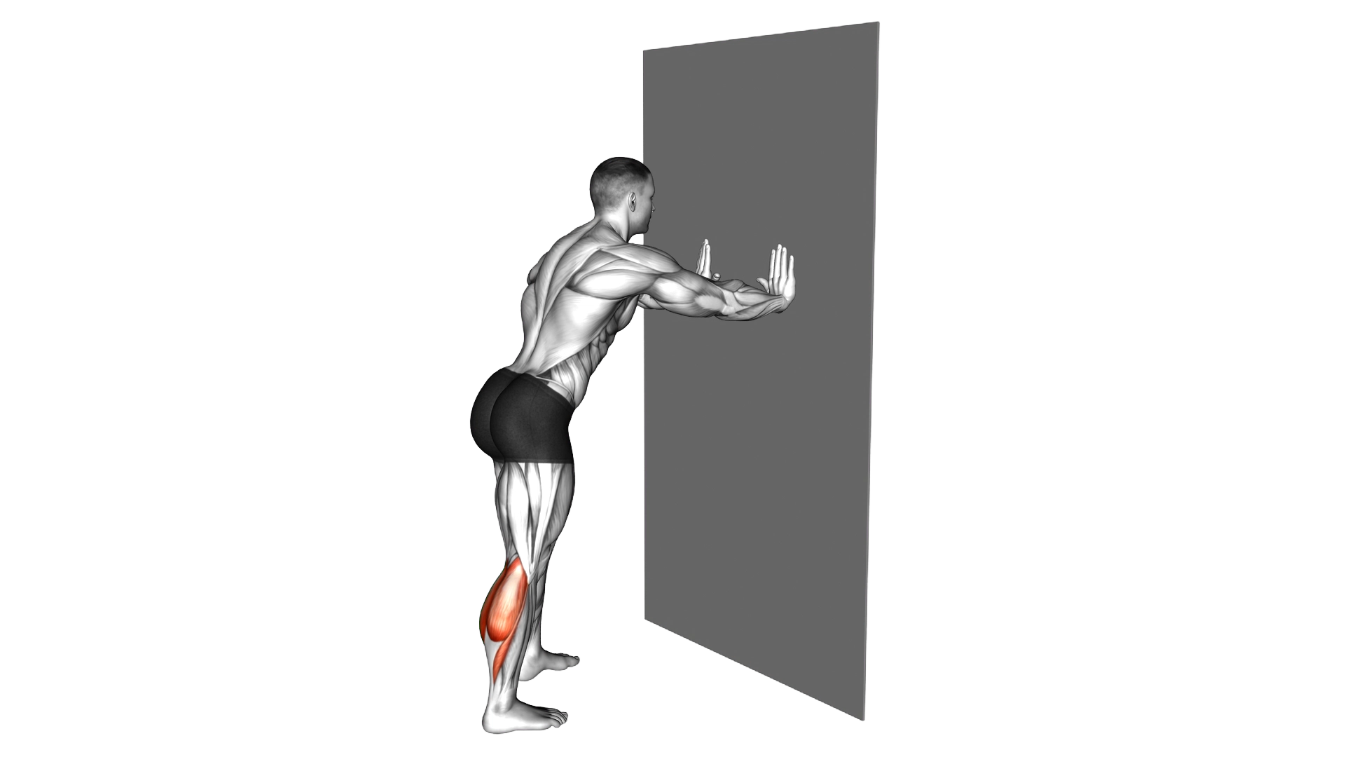Calf Stretch With Hands Against Wall exercise demonstration