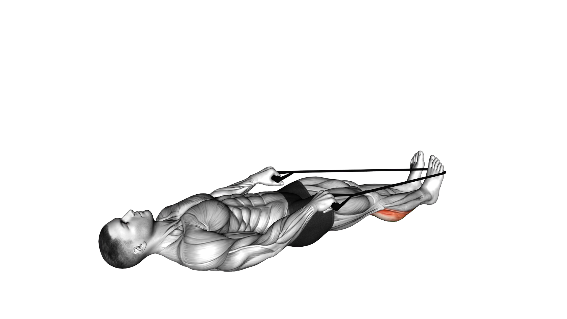 Calf Stretch with Rope exercise demonstration