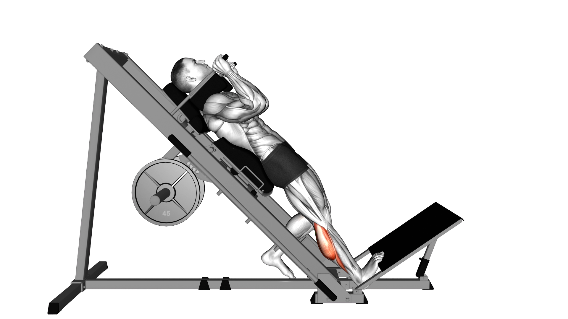 Hack One Leg Calf Raise exercise thumbnail