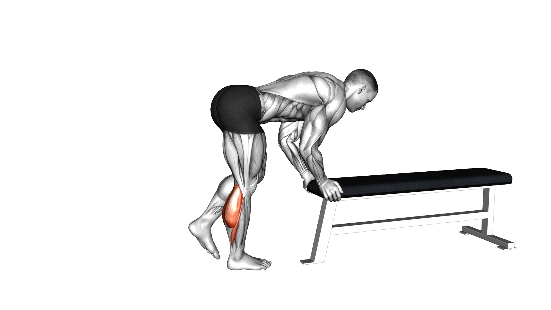 One Leg Donkey Calf Raise exercise demonstration